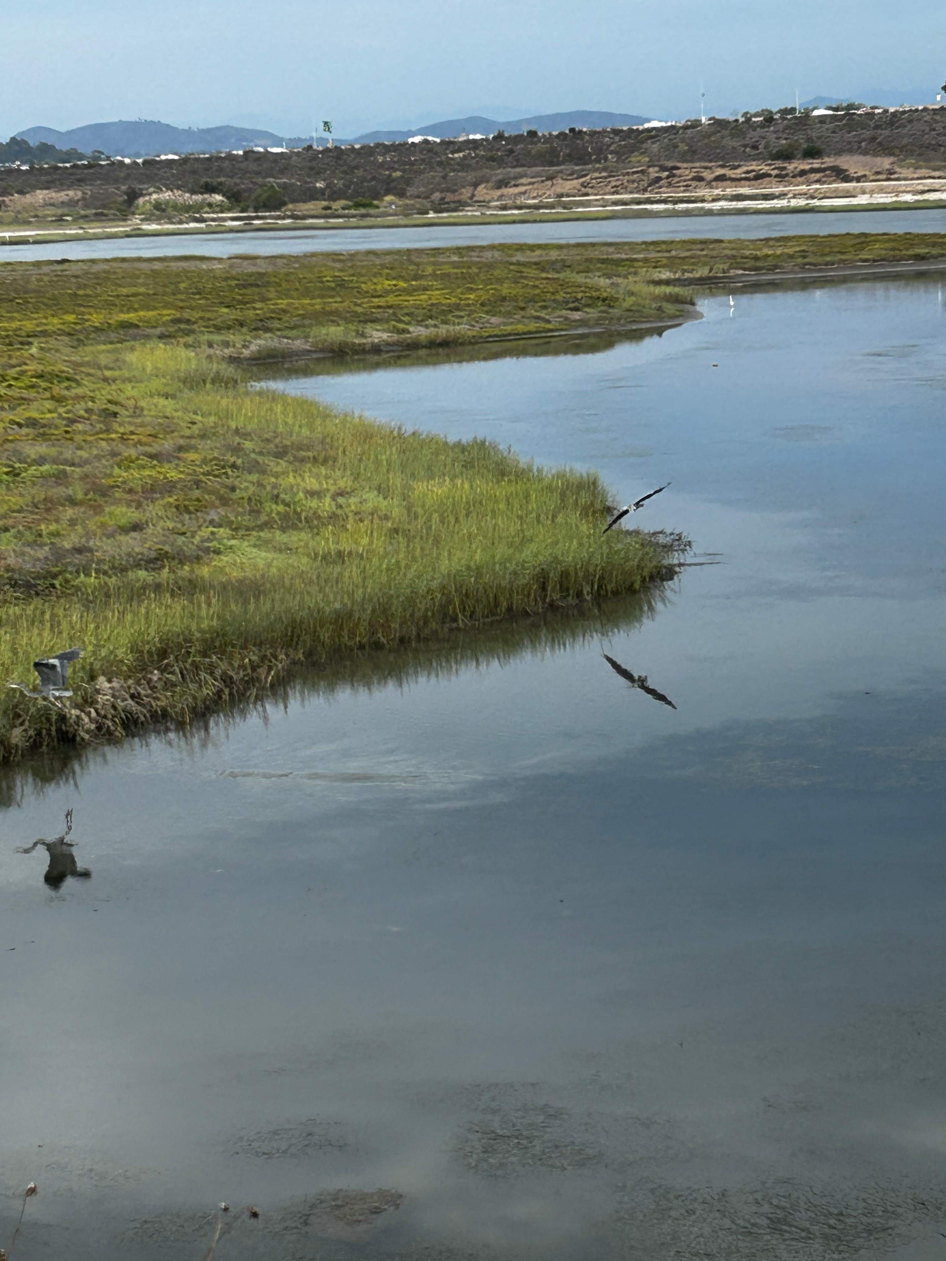 San Dieguito Lagoon