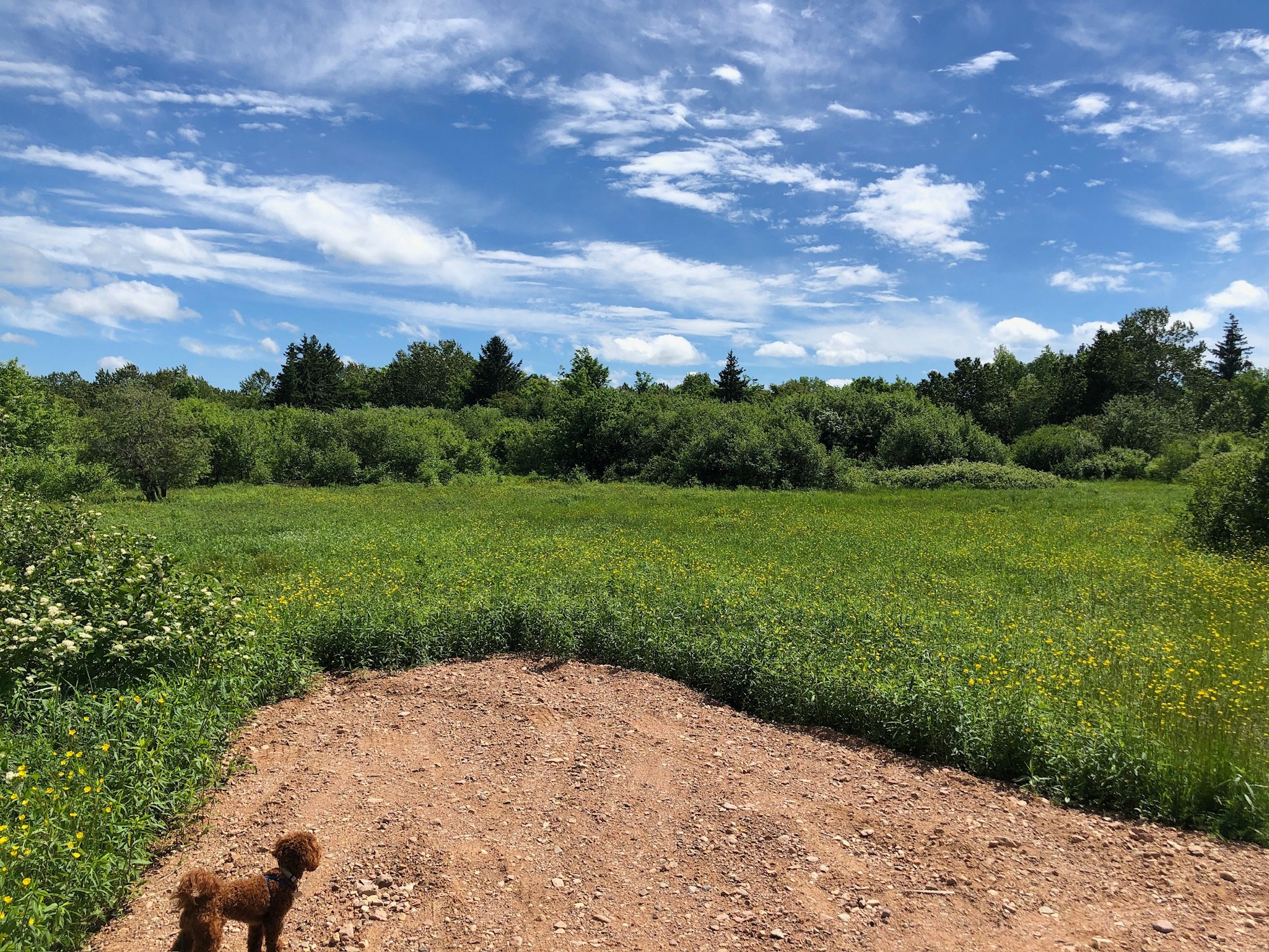 Hawthorn Eco Retreat