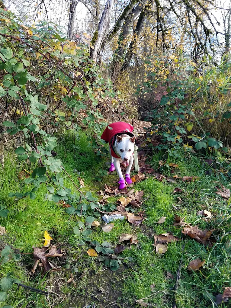 Shamrock Village RV Park