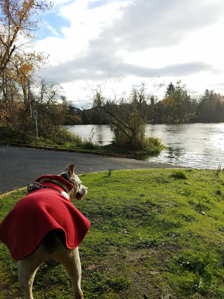 Shamrock Village RV Park