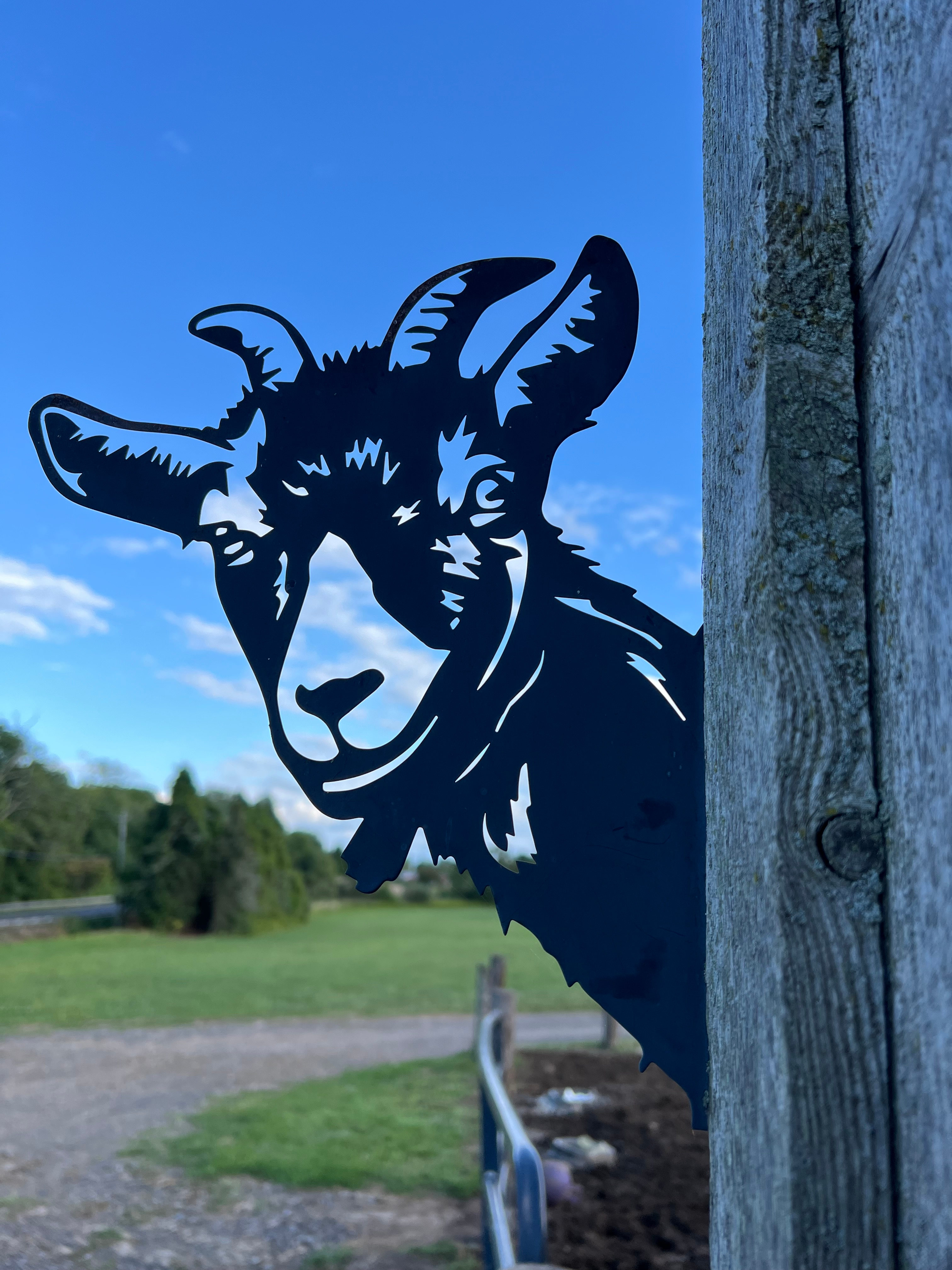 Tommy’s Roadside Farm