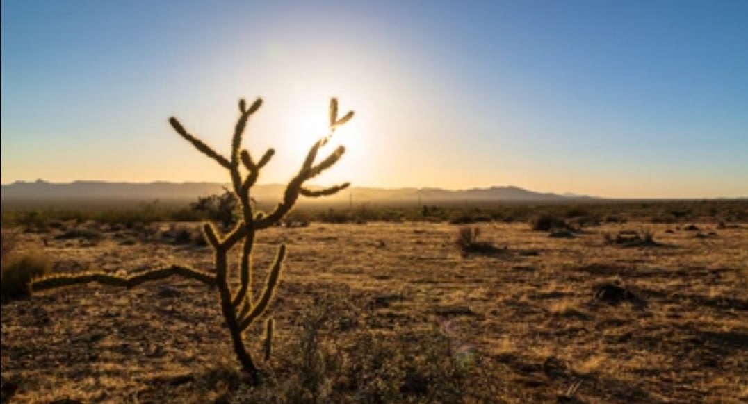 Reptile Ranch And Rescue