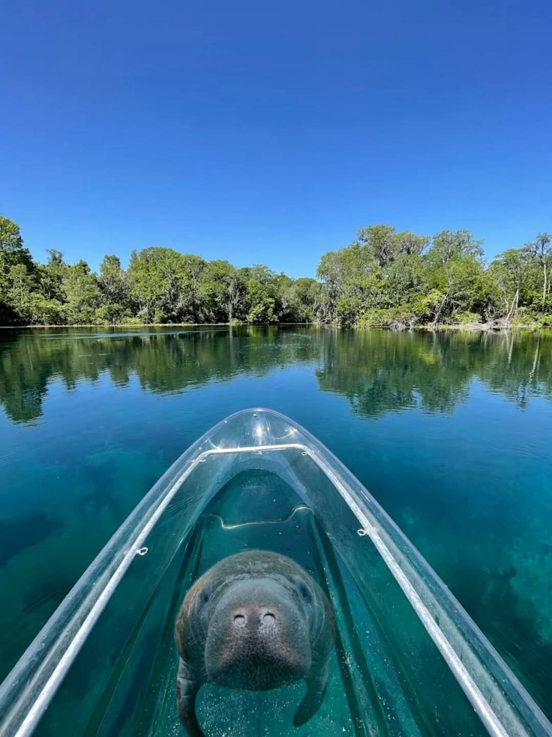 Paddle Dive Camp Rancho Mackintosh