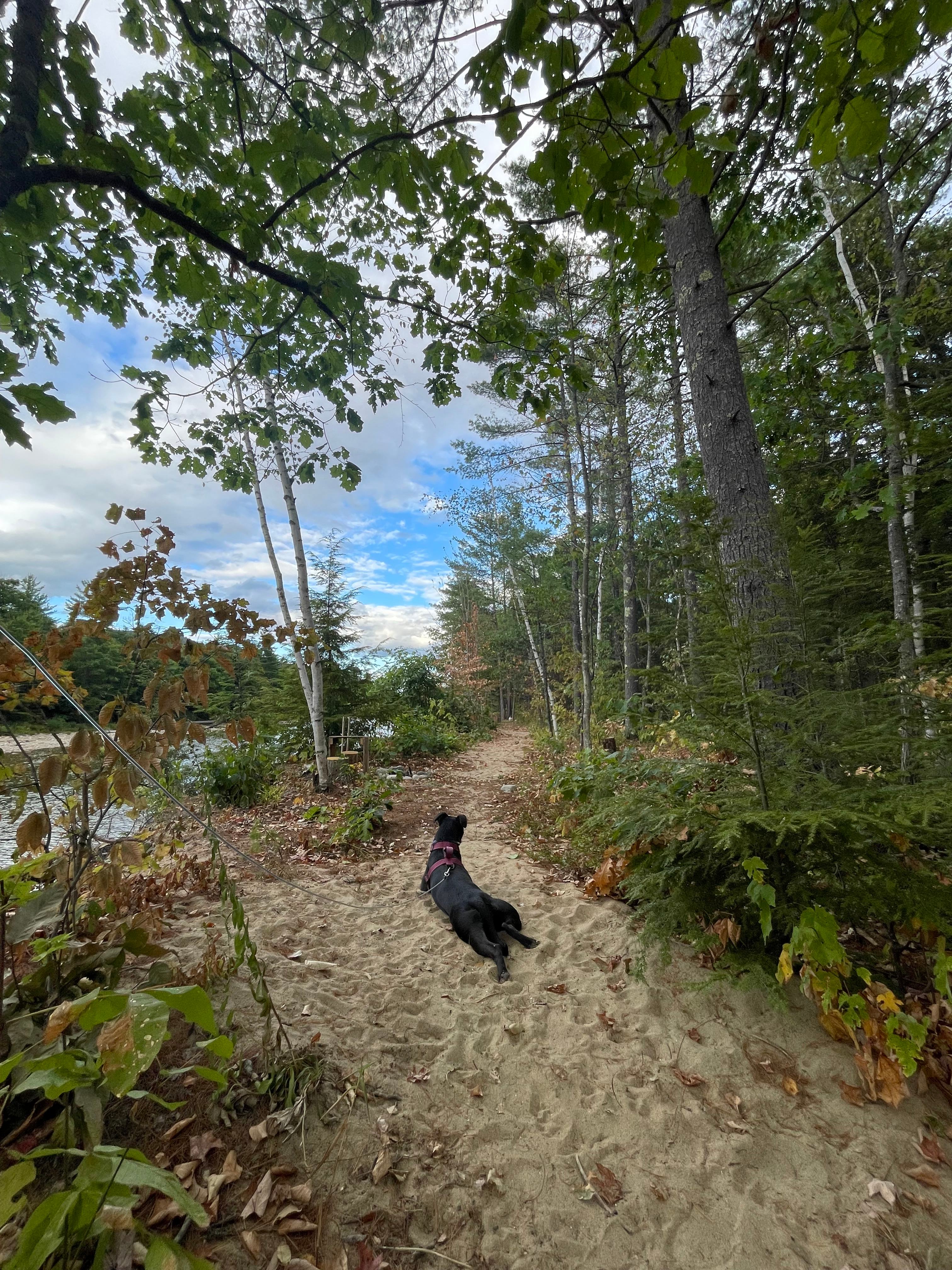 Private Waterfront Quiet Oasis