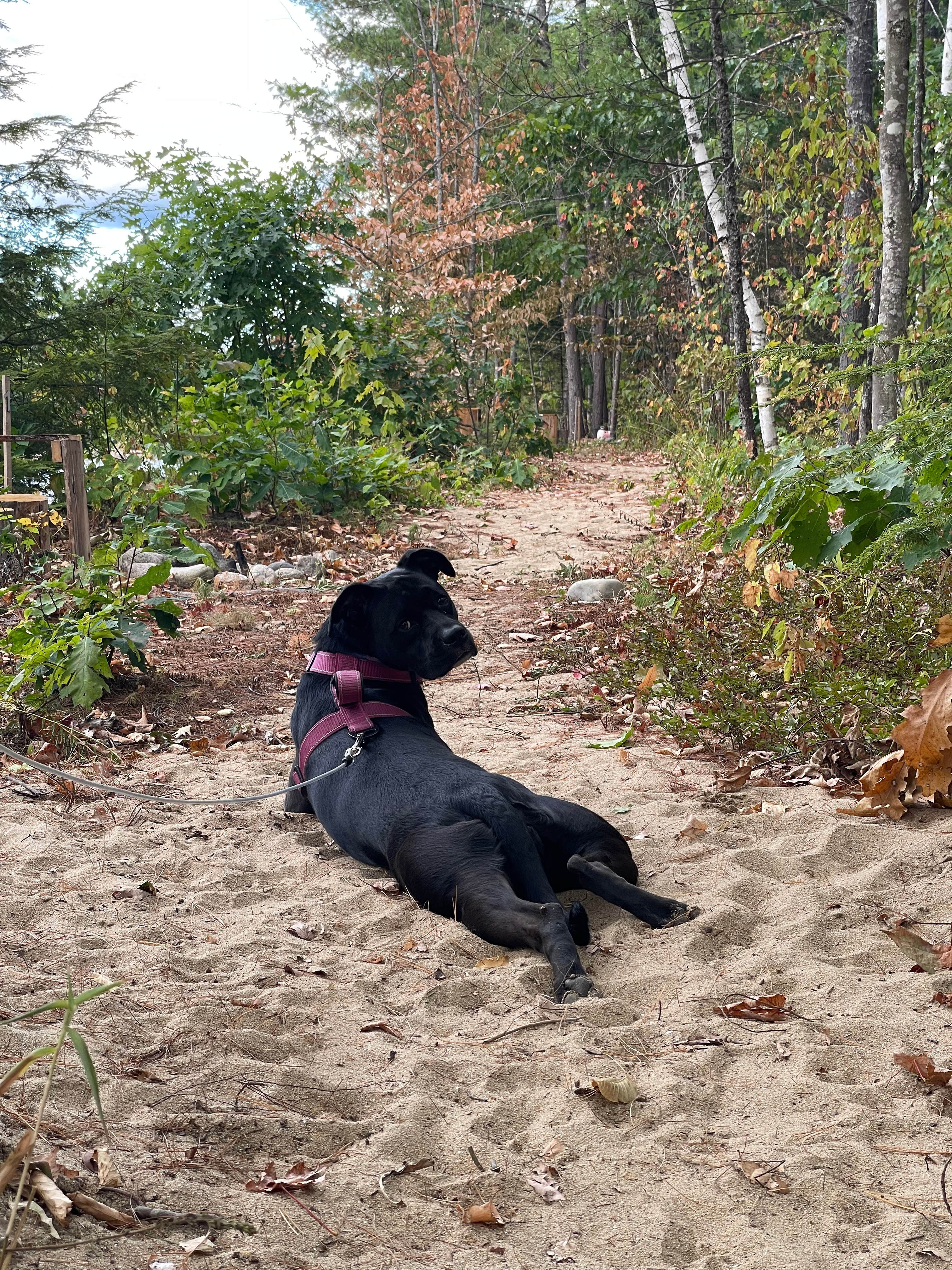 Private Waterfront Quiet Oasis
