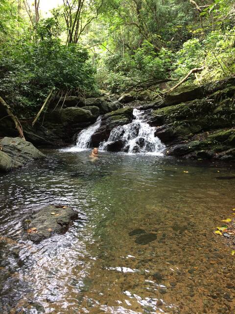 PR Rainforest Retreat