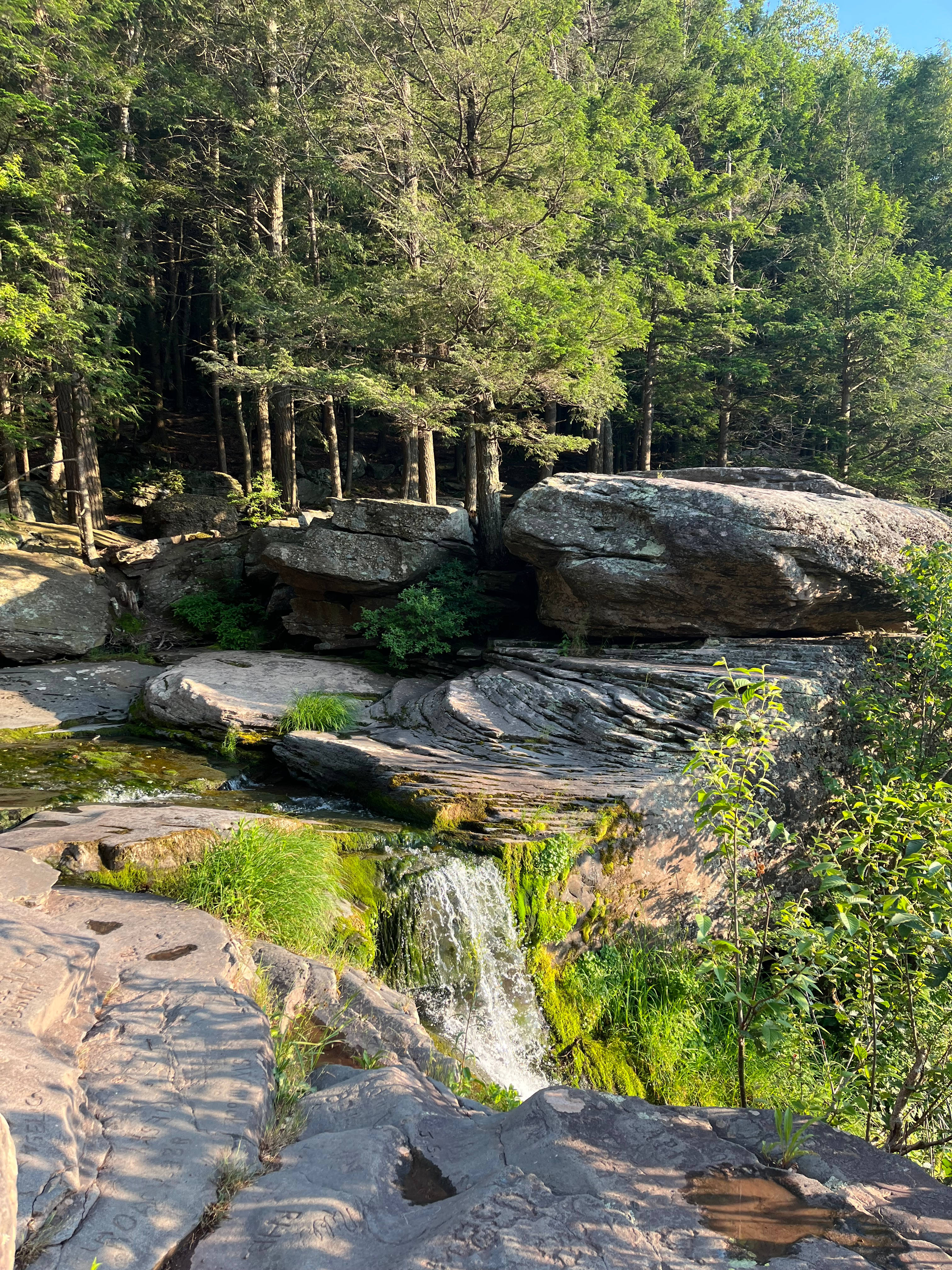 Invisible Birds On The Mountaintop