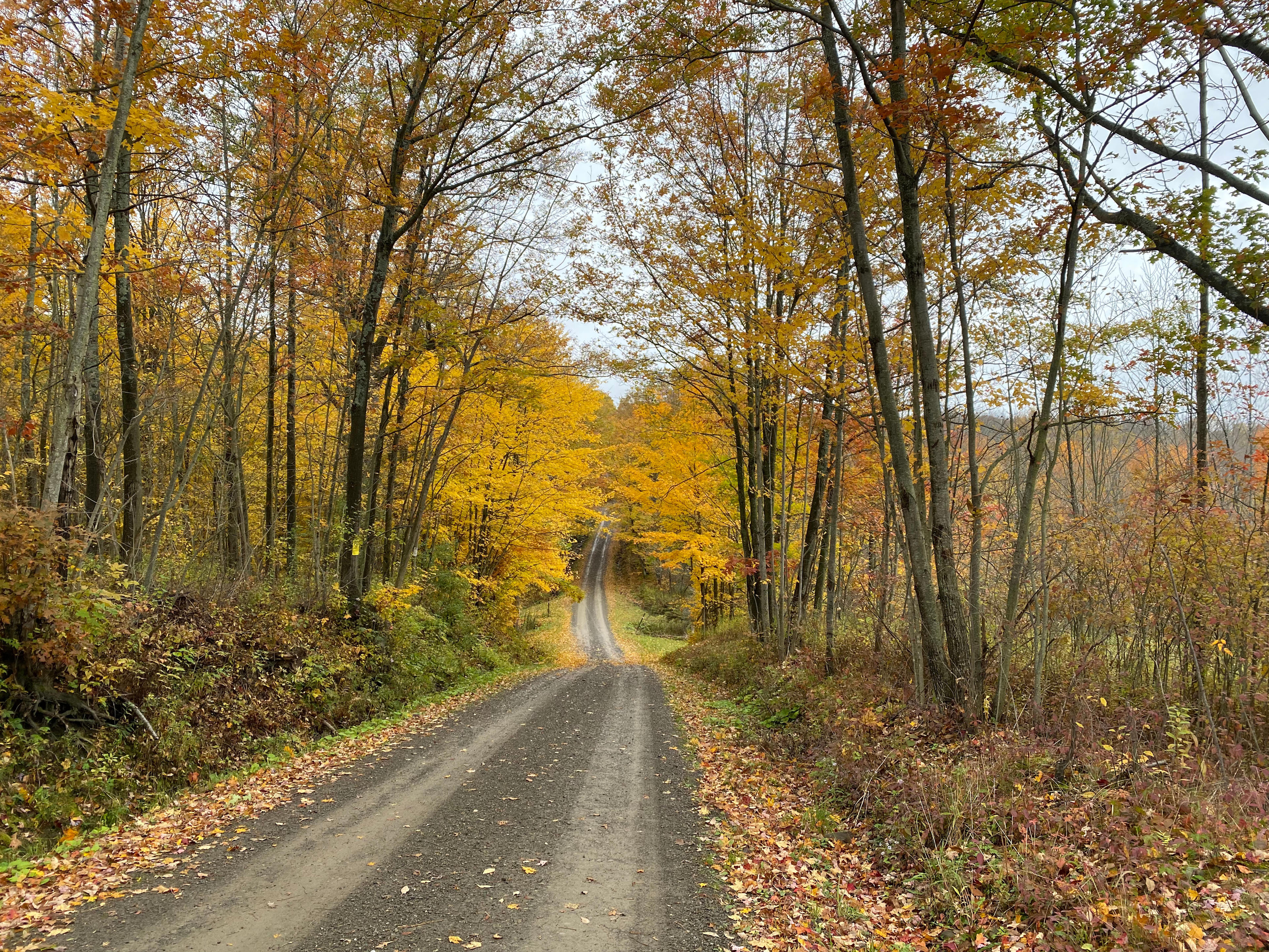 Constellations And Campfires