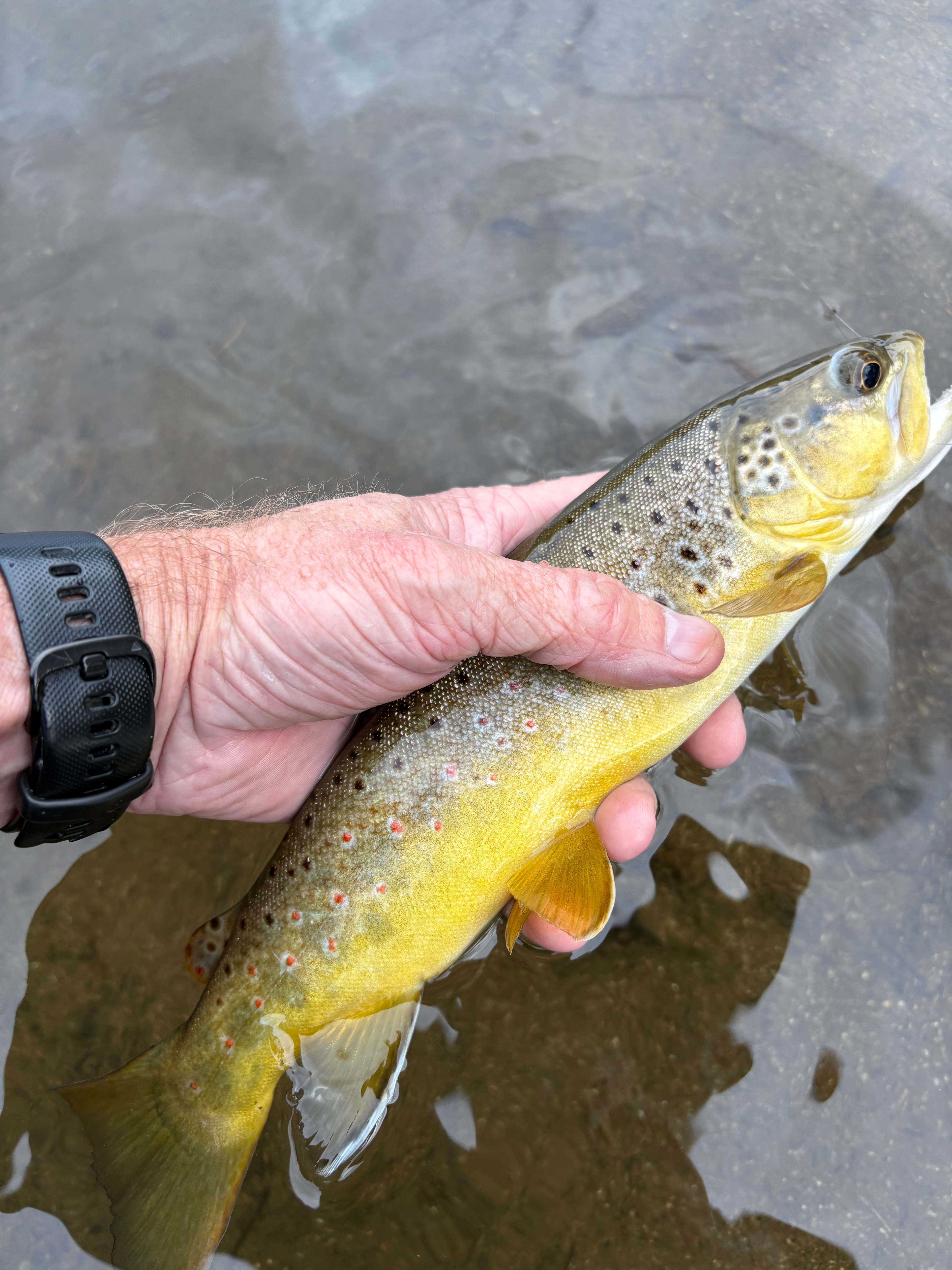 Frenchman's Creek Ranch