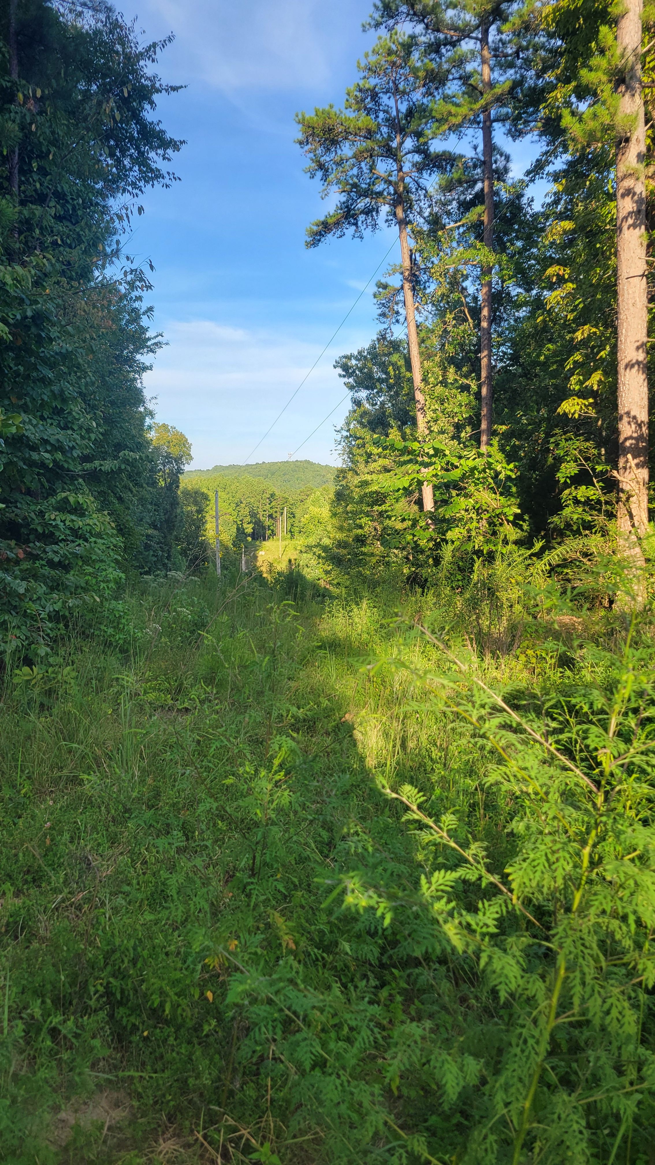 The Rock Ridge Retreat