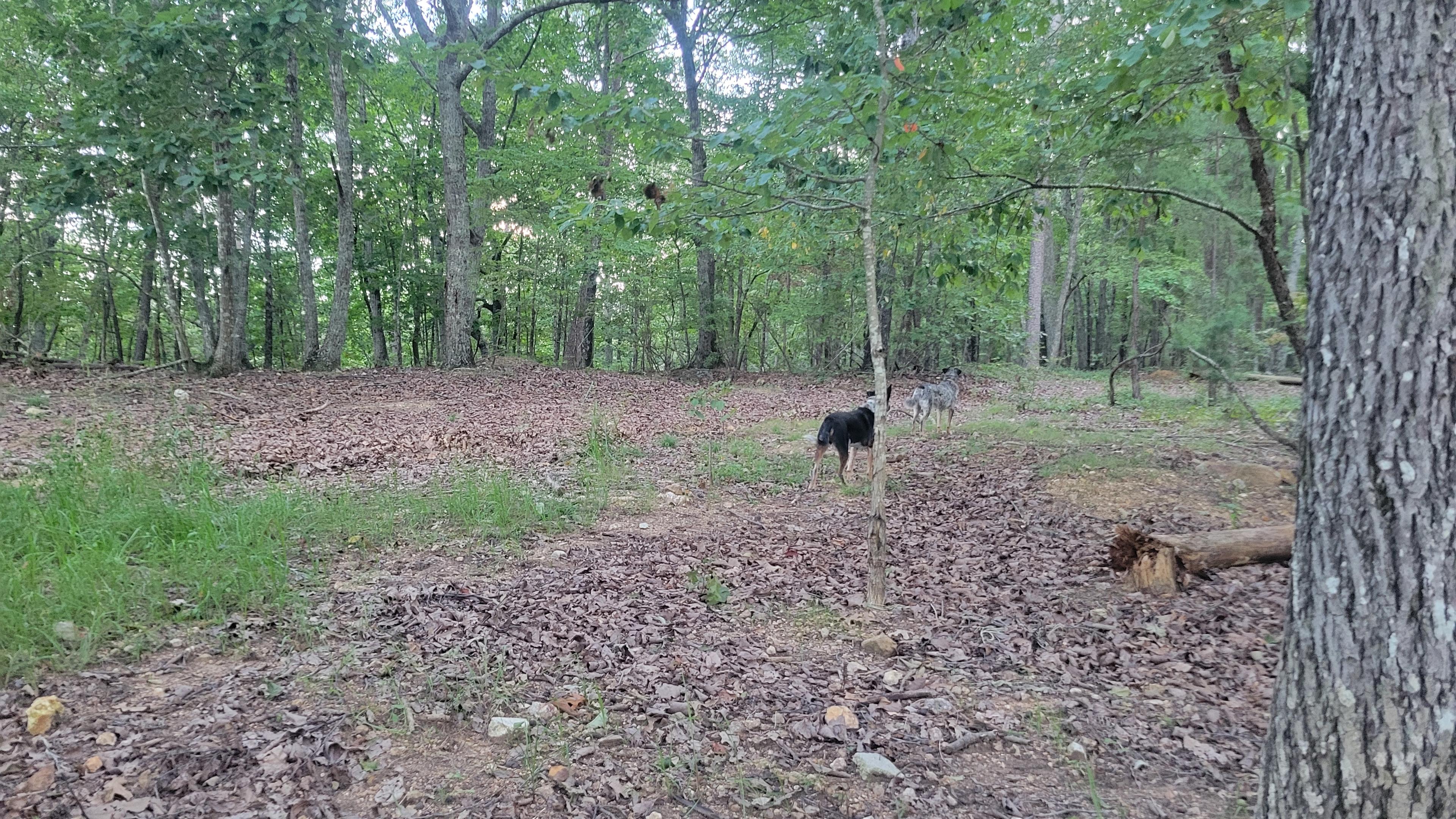 The Rock Ridge Retreat