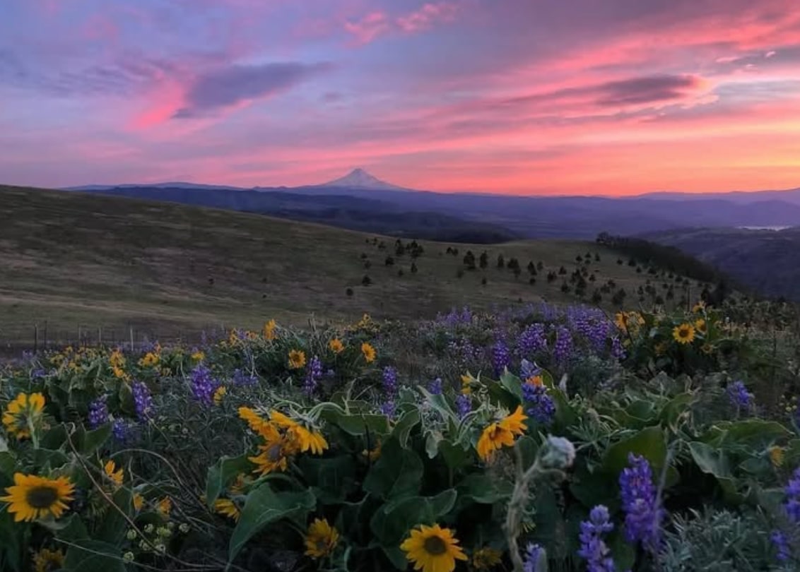 Balsamroot Ranch Camping Club