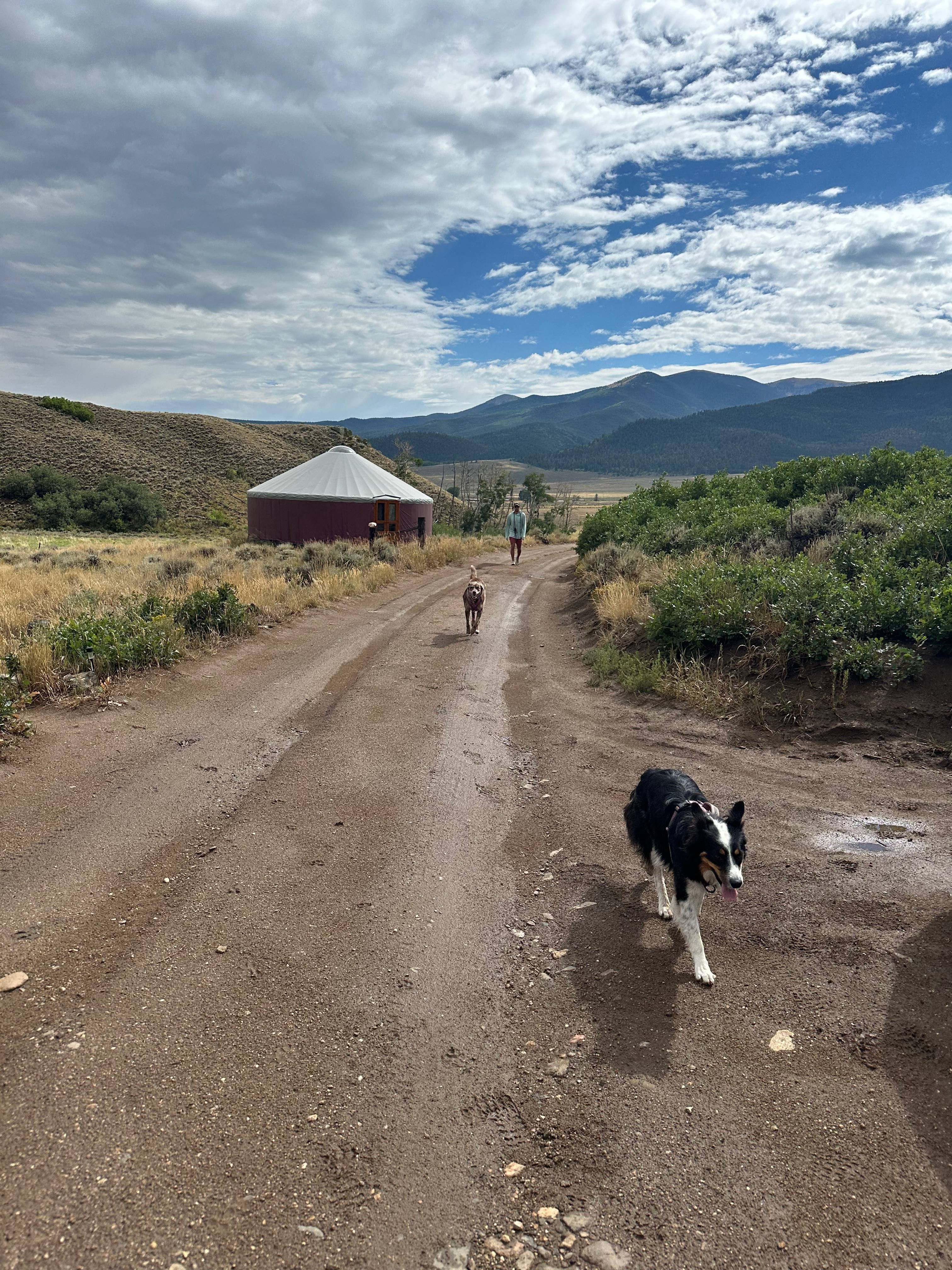 Lone Tree Yurt at Poncha Pass