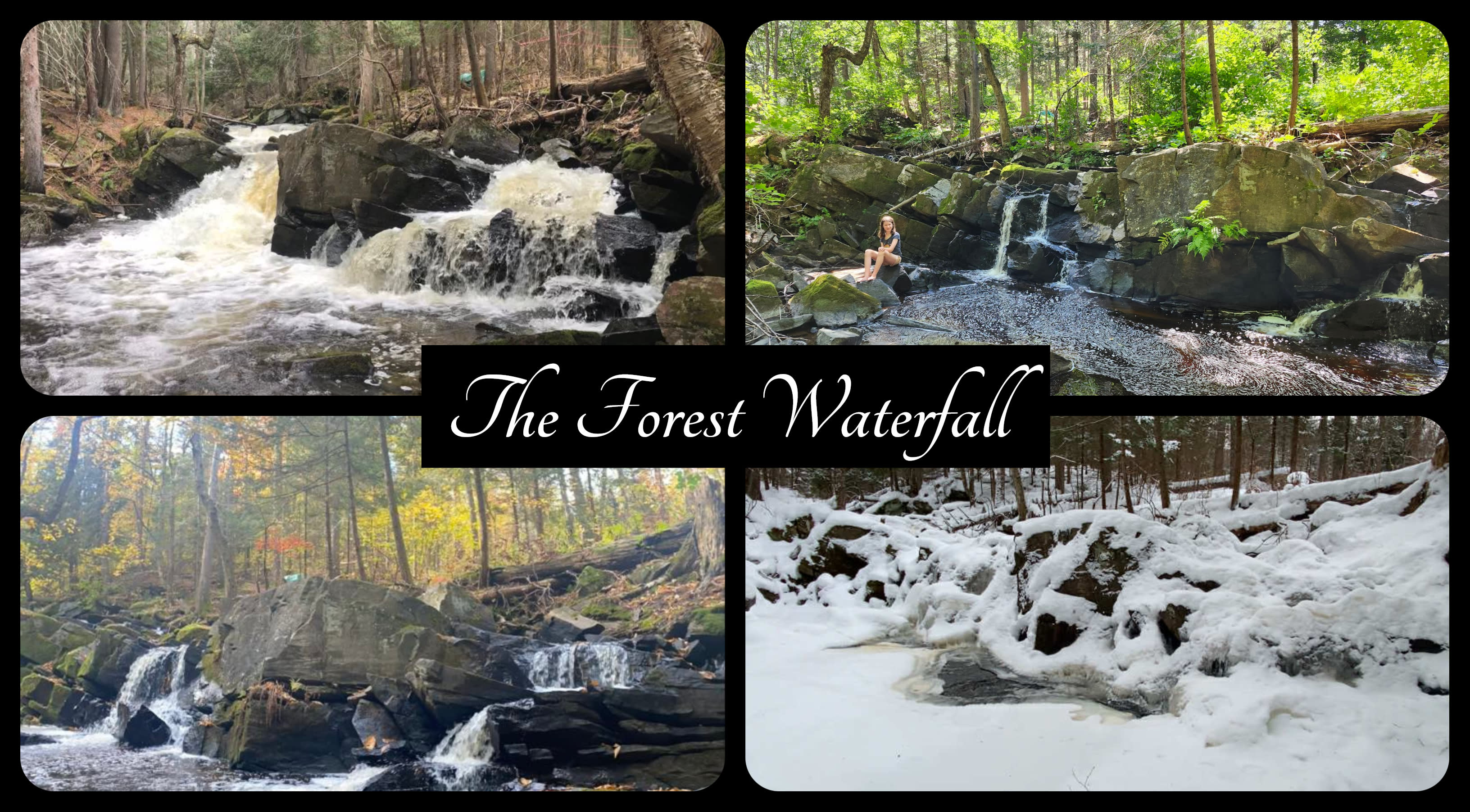 Forest & Farm Wilderness Retreat