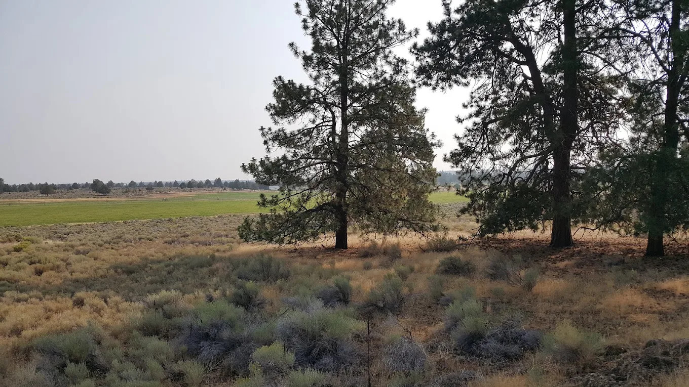 Sundance Meadows Ranch