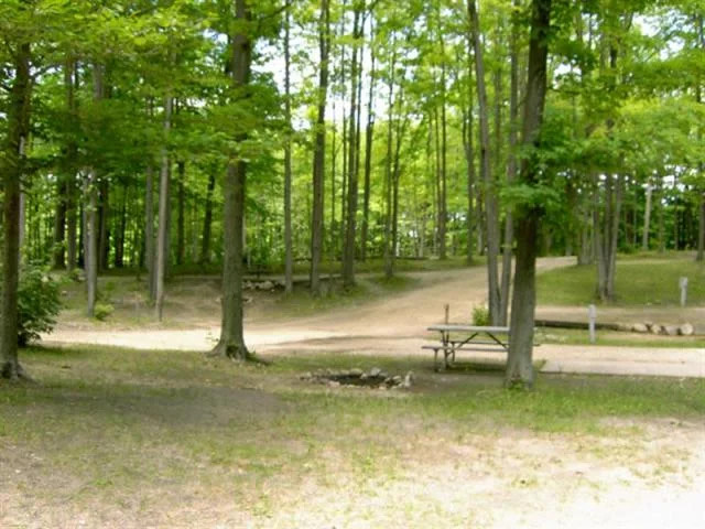 Cadillac Woods Campground