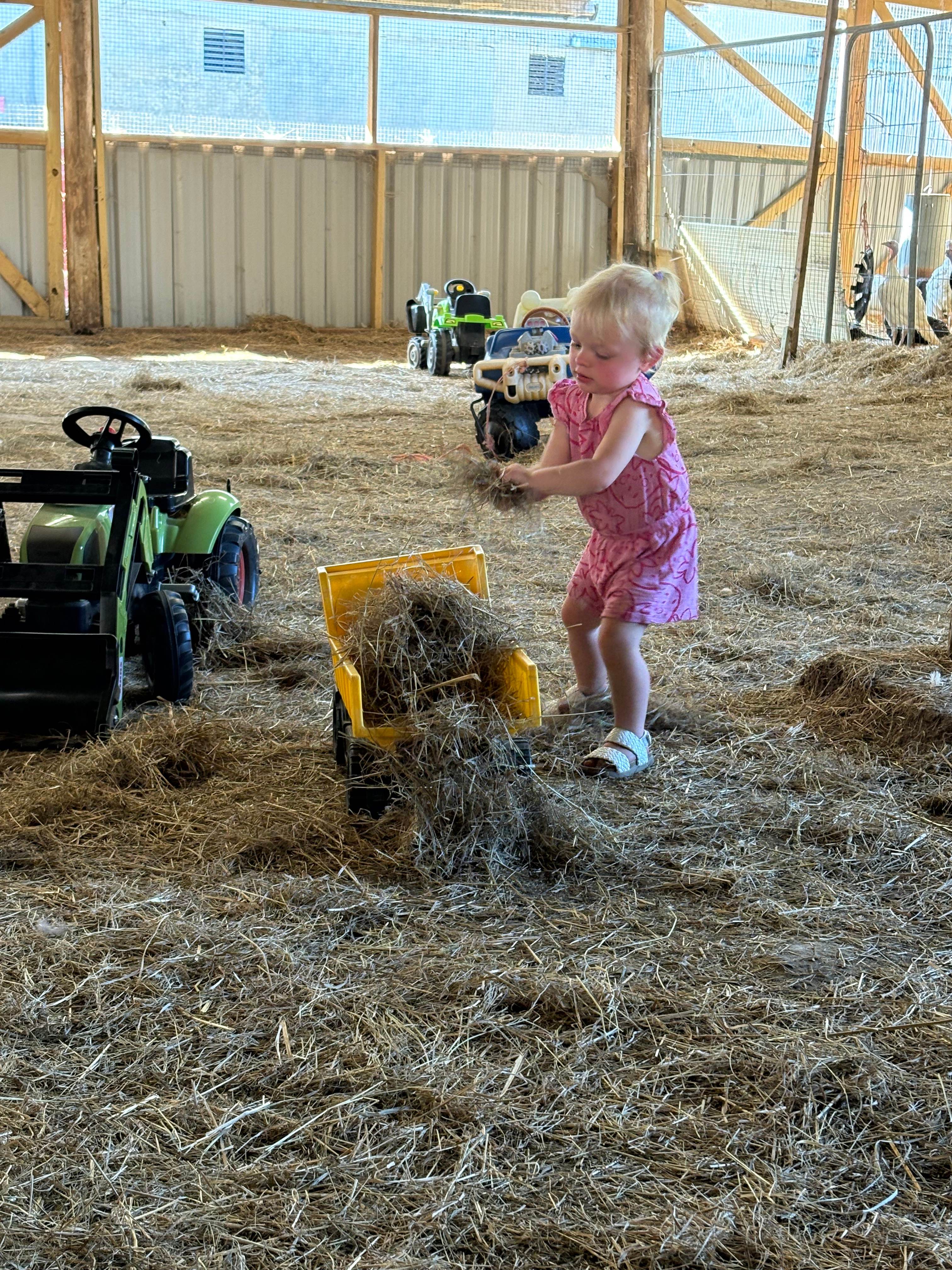 The Oaks Poultry Farm