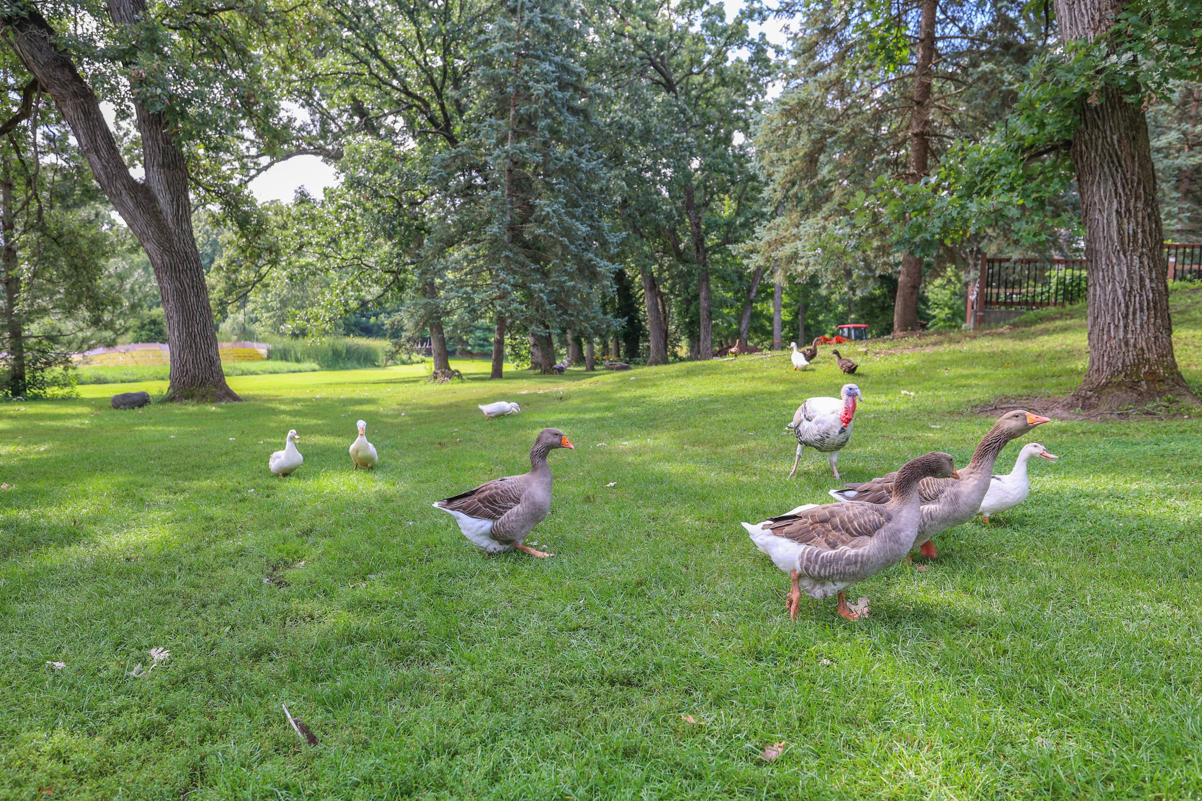 Escape to Nature