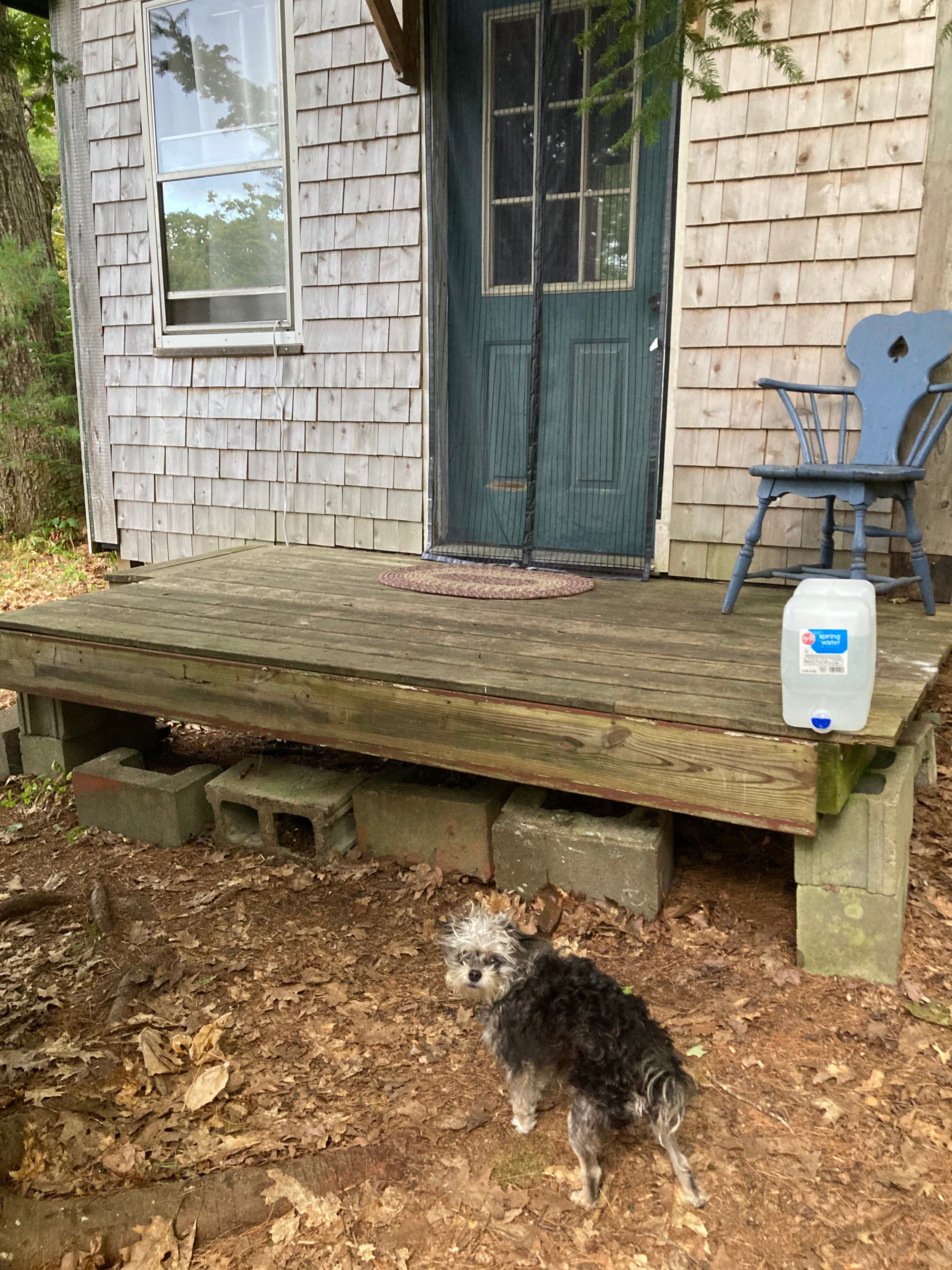 Stuart Little’s Dreamhouse