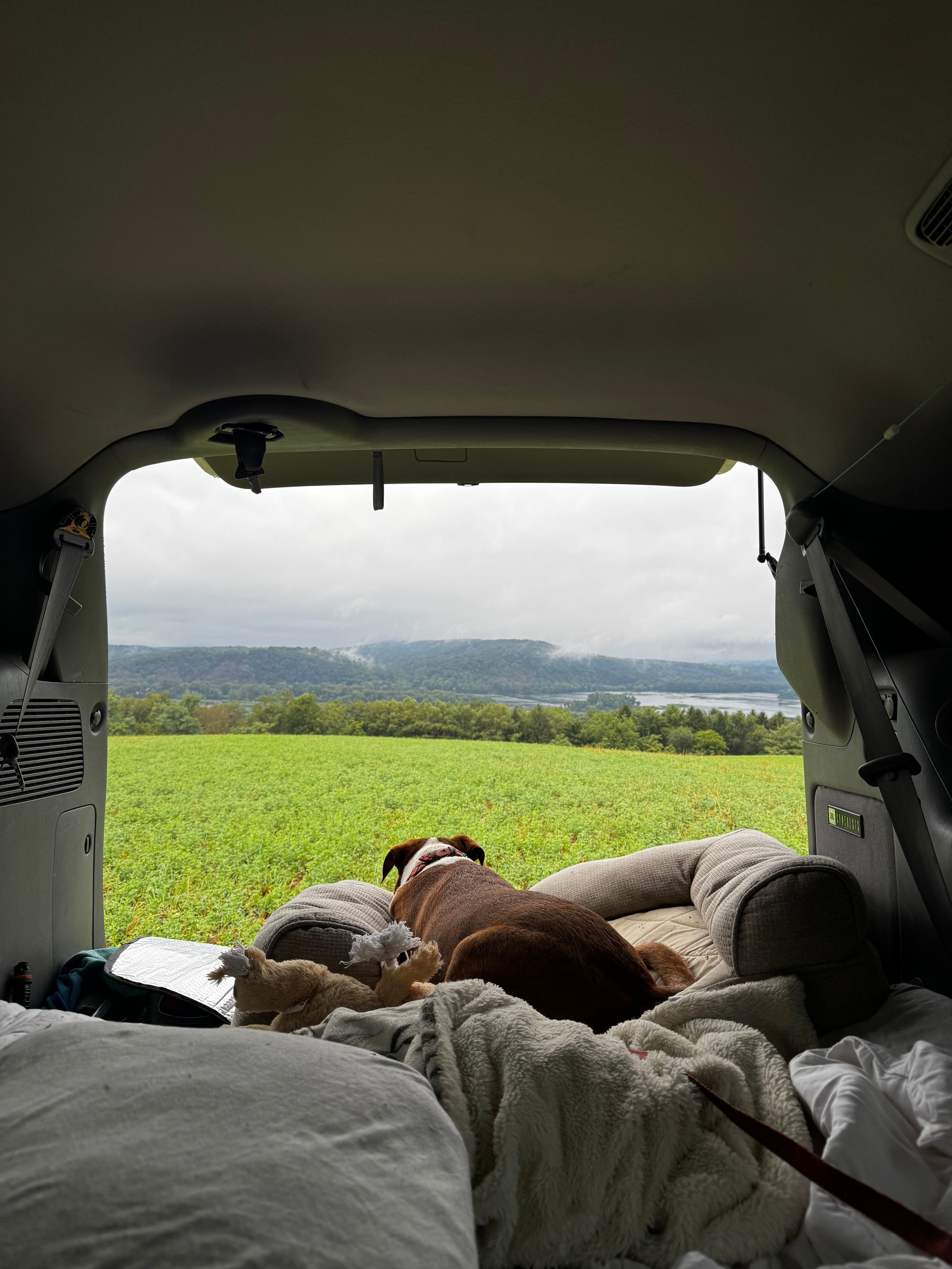 Watching the thunderstorm roll through