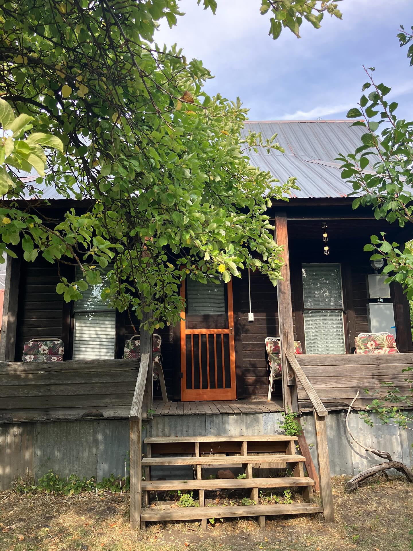 Rustic In Ronald