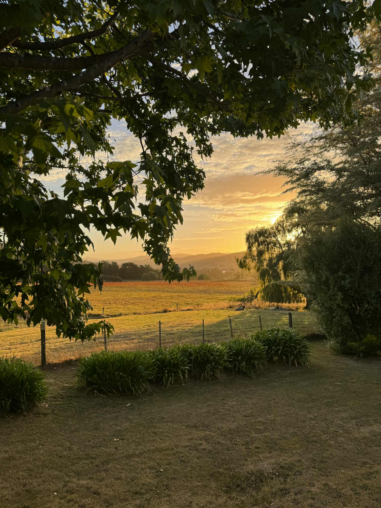 Misty mountain homestead