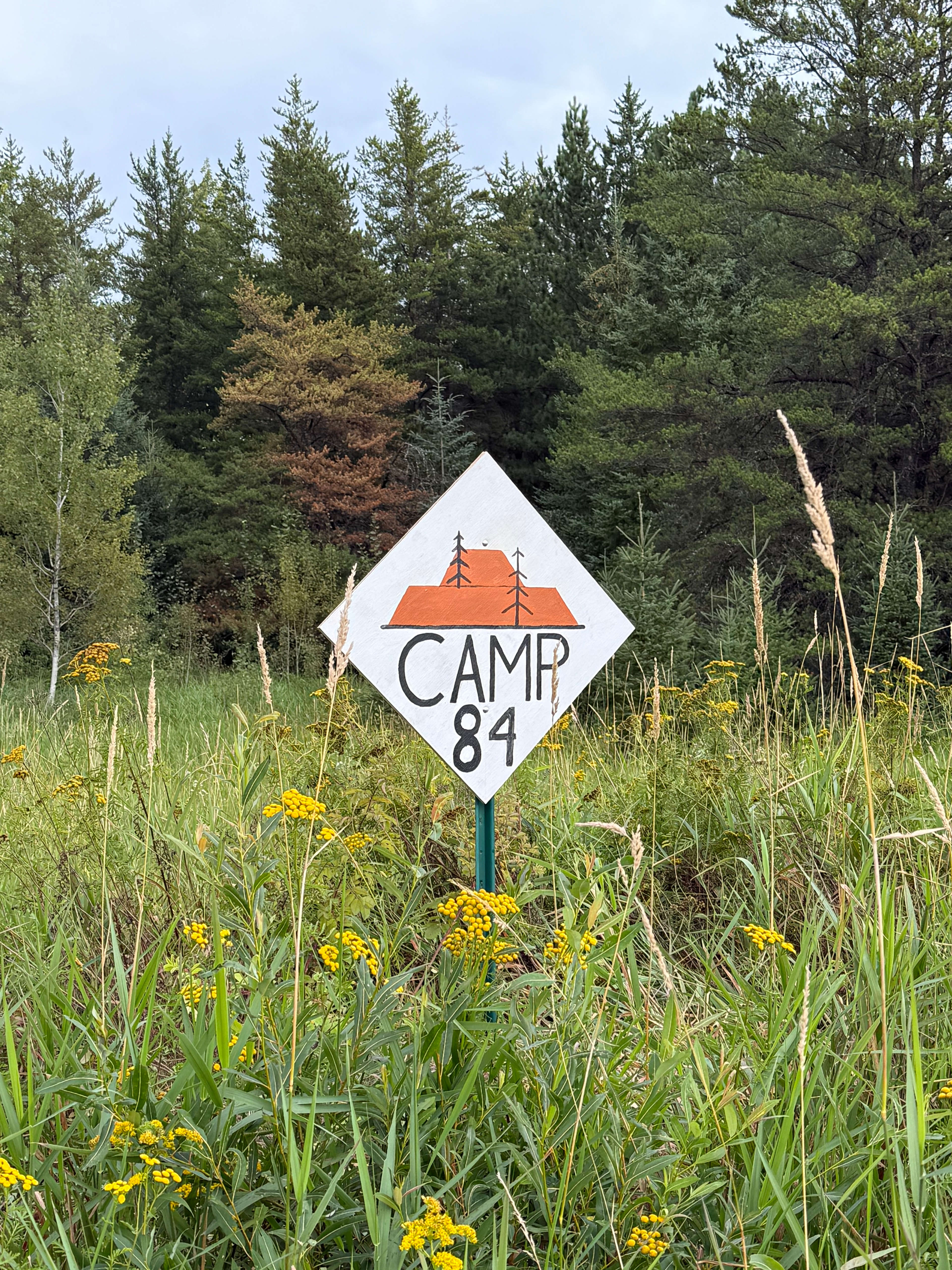 Camp 84