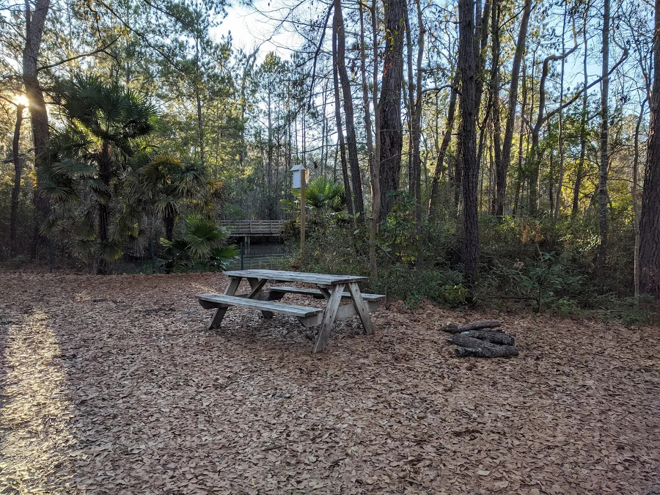 Tuck In the Wood Campgrounds