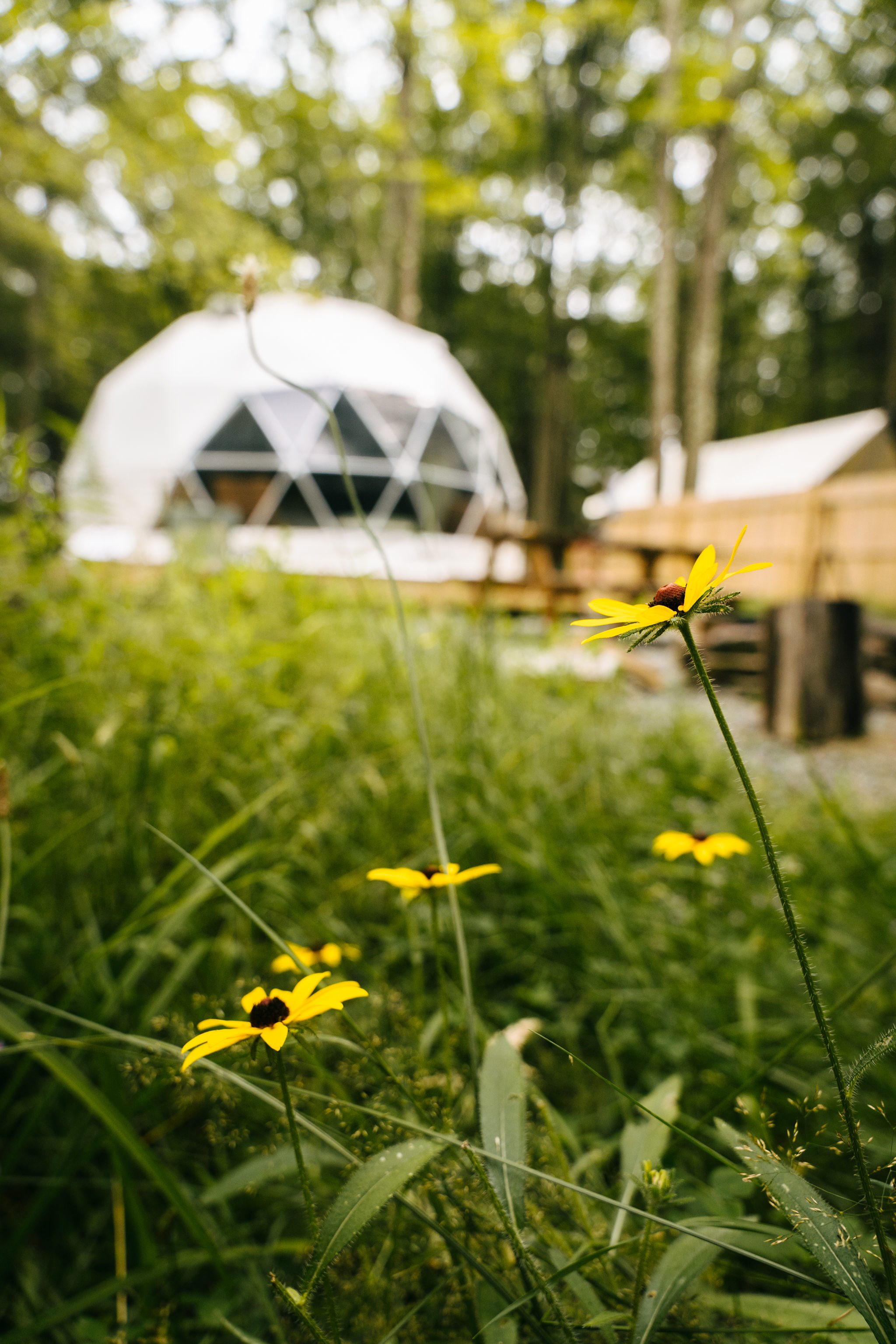 Ferncrest Campground