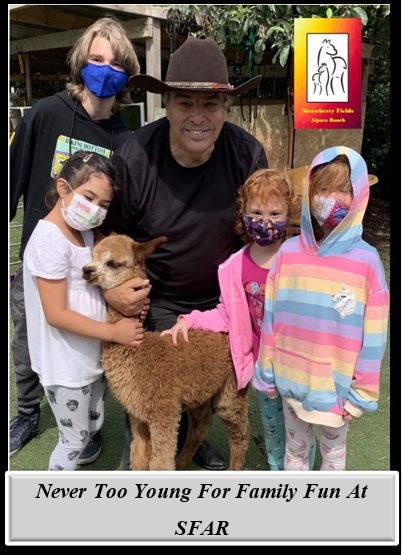 Strawbery Fields Alpaca Ranch