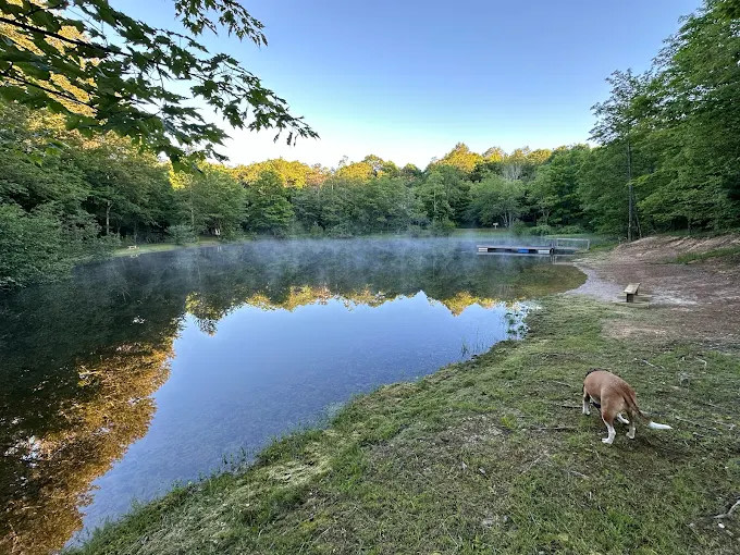 Boyers Pond Campground
