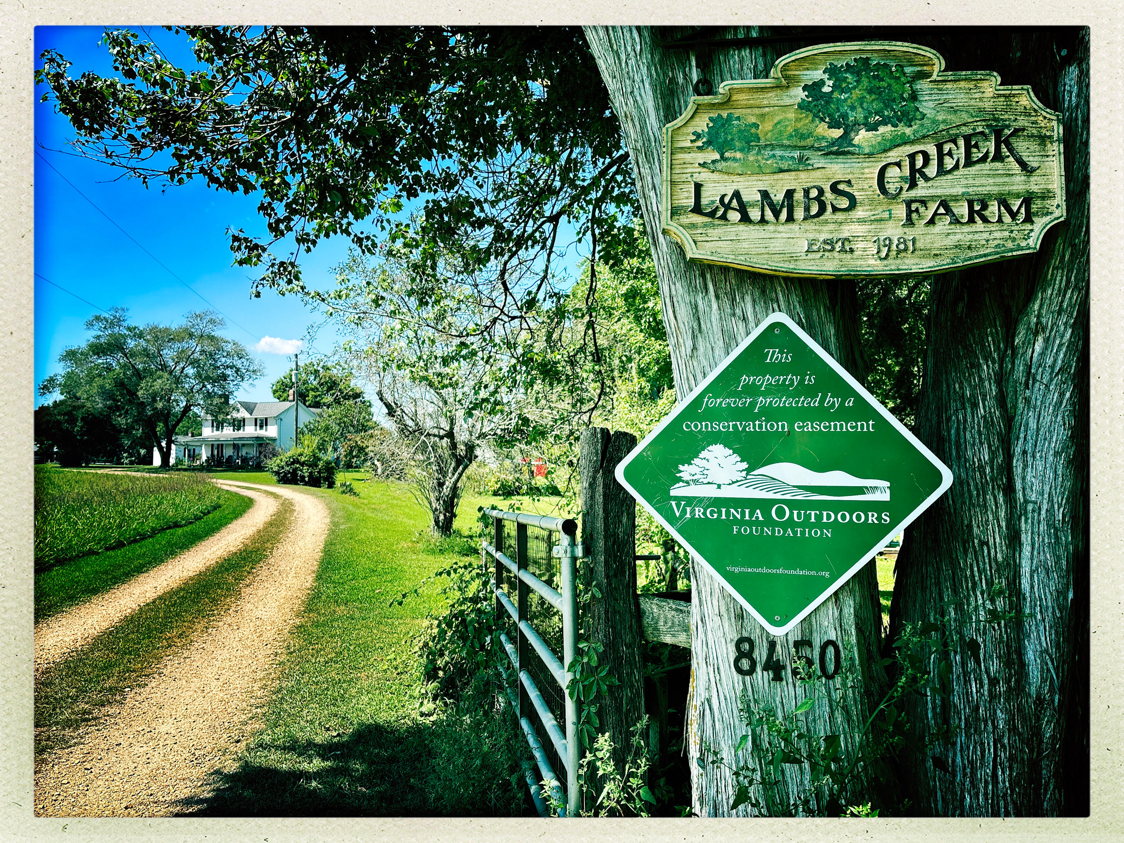 Lambs Creek Farm