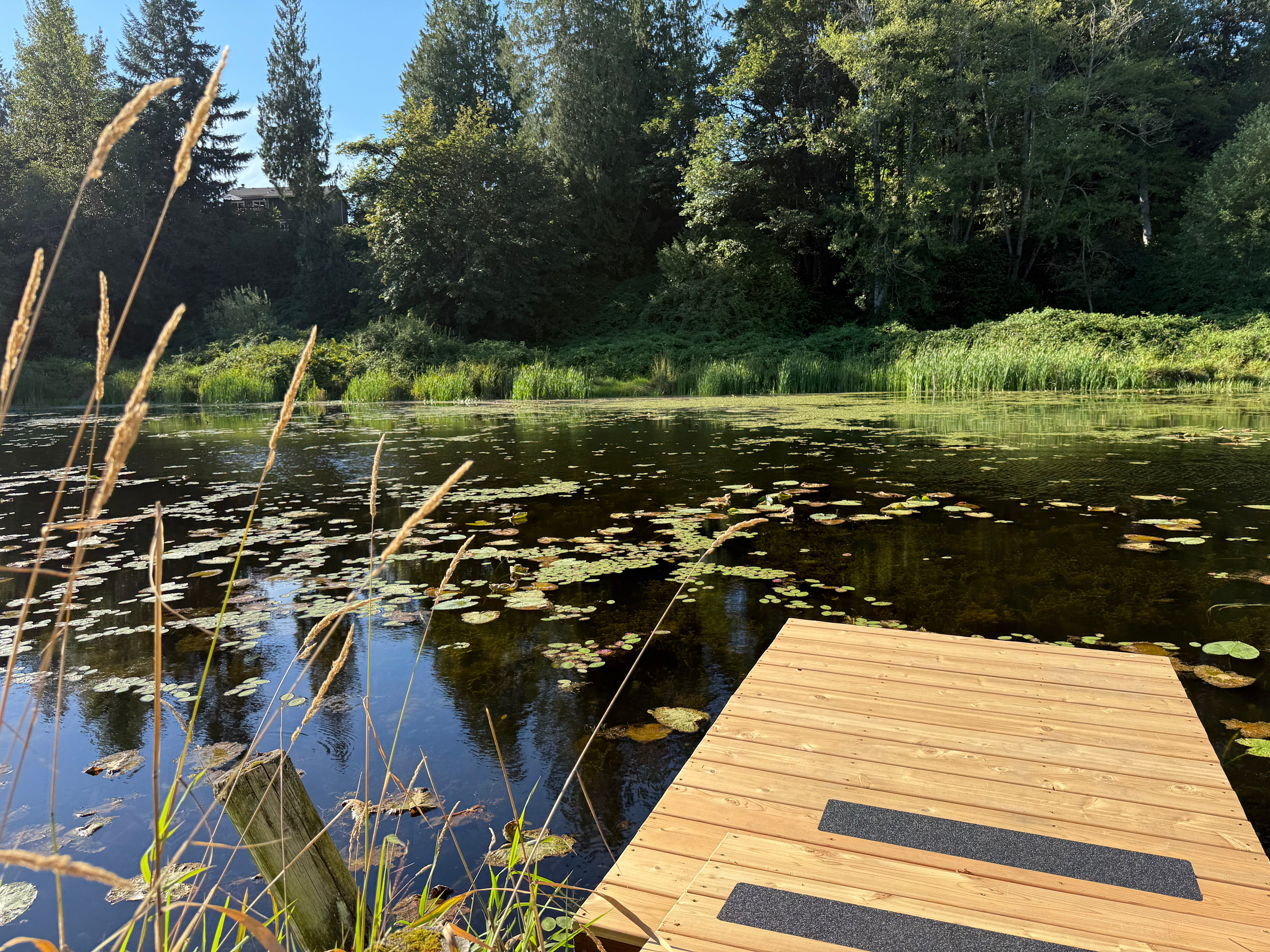 Lakefront Rainbow Retreat