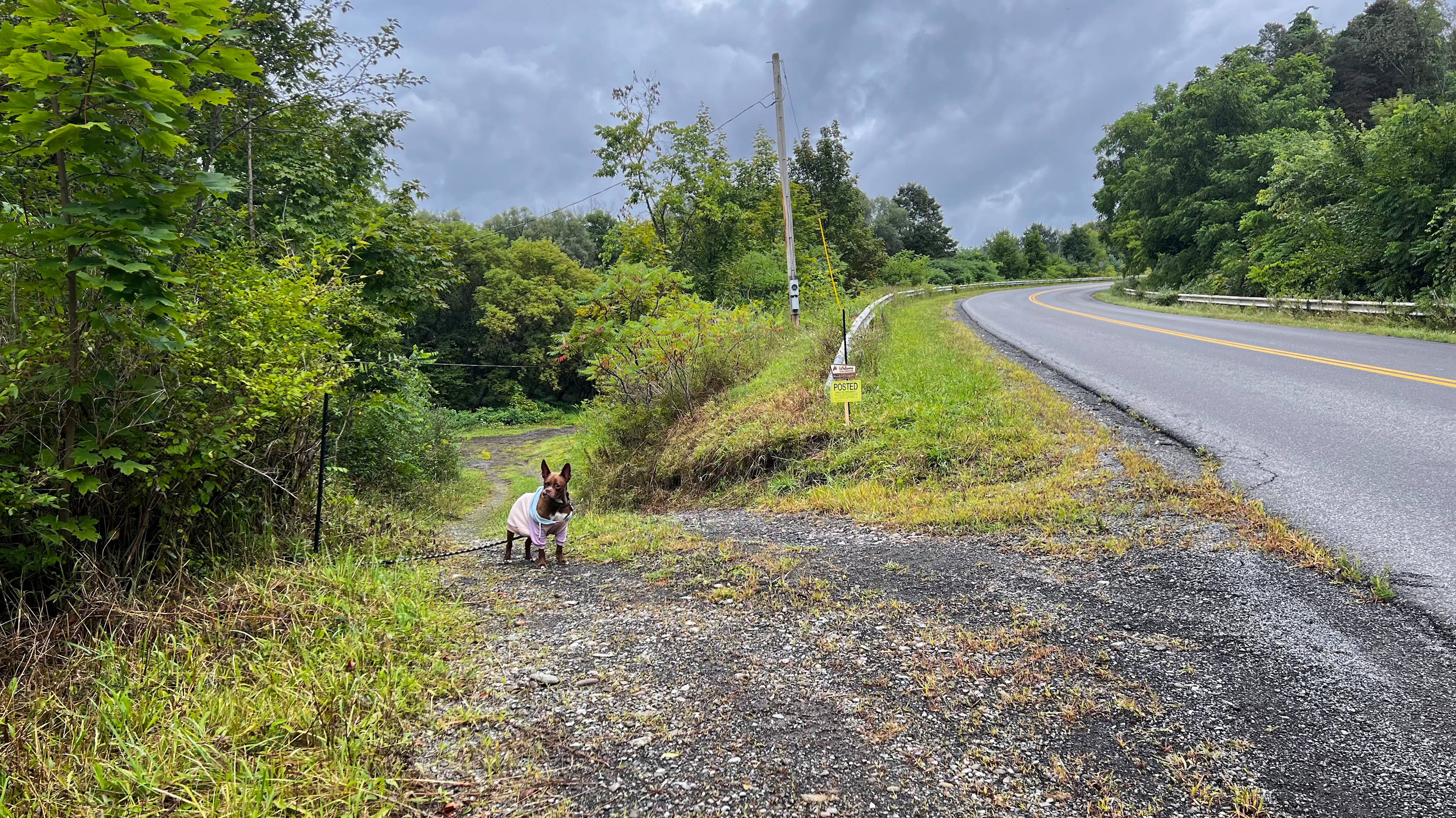 Riverfront Campsite Adventures