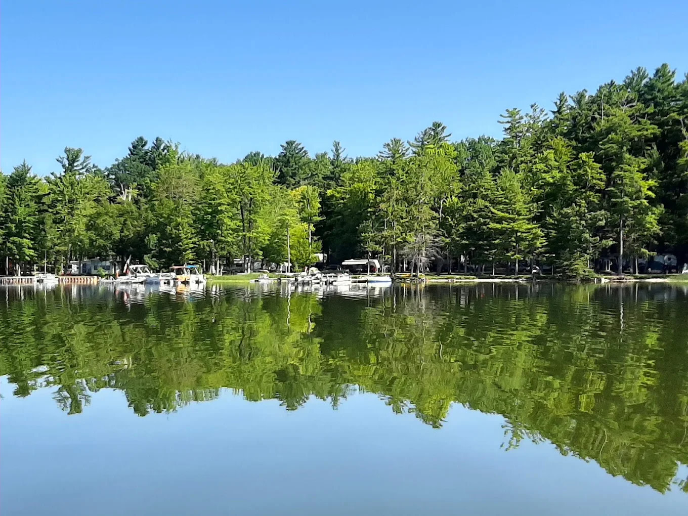 Timber Surf Camping Resort