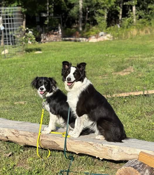 My girlz enjoyed the campground too.