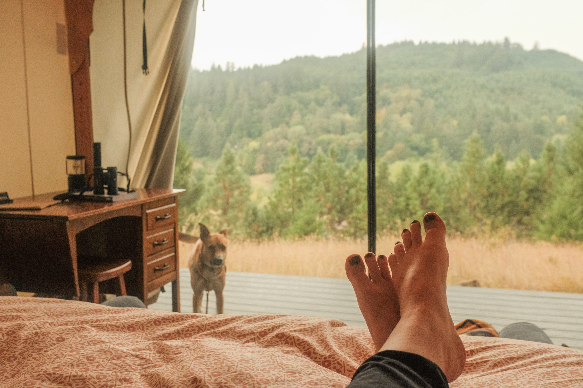 waking up with a view