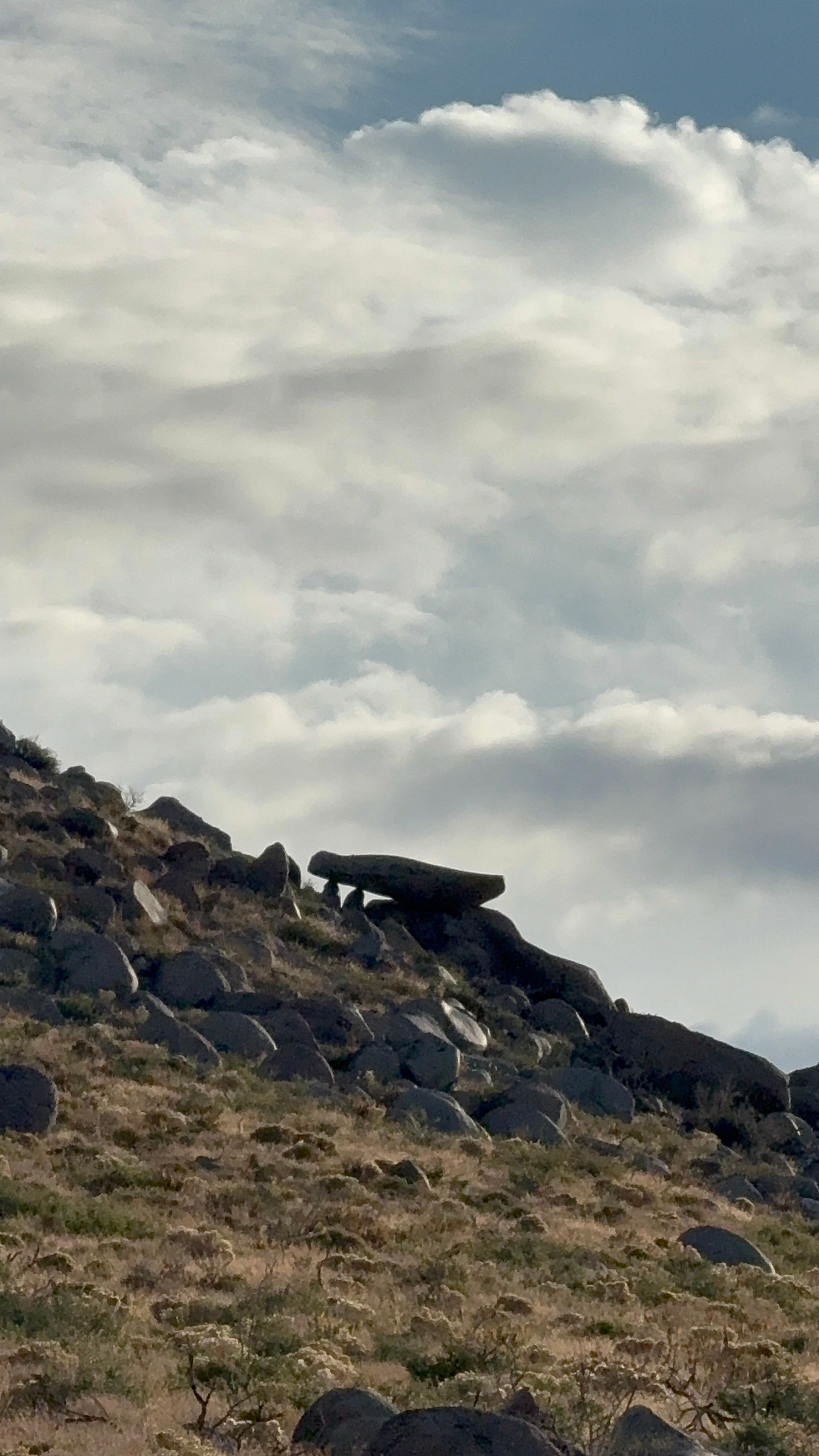 The Range Rural Raw Desert