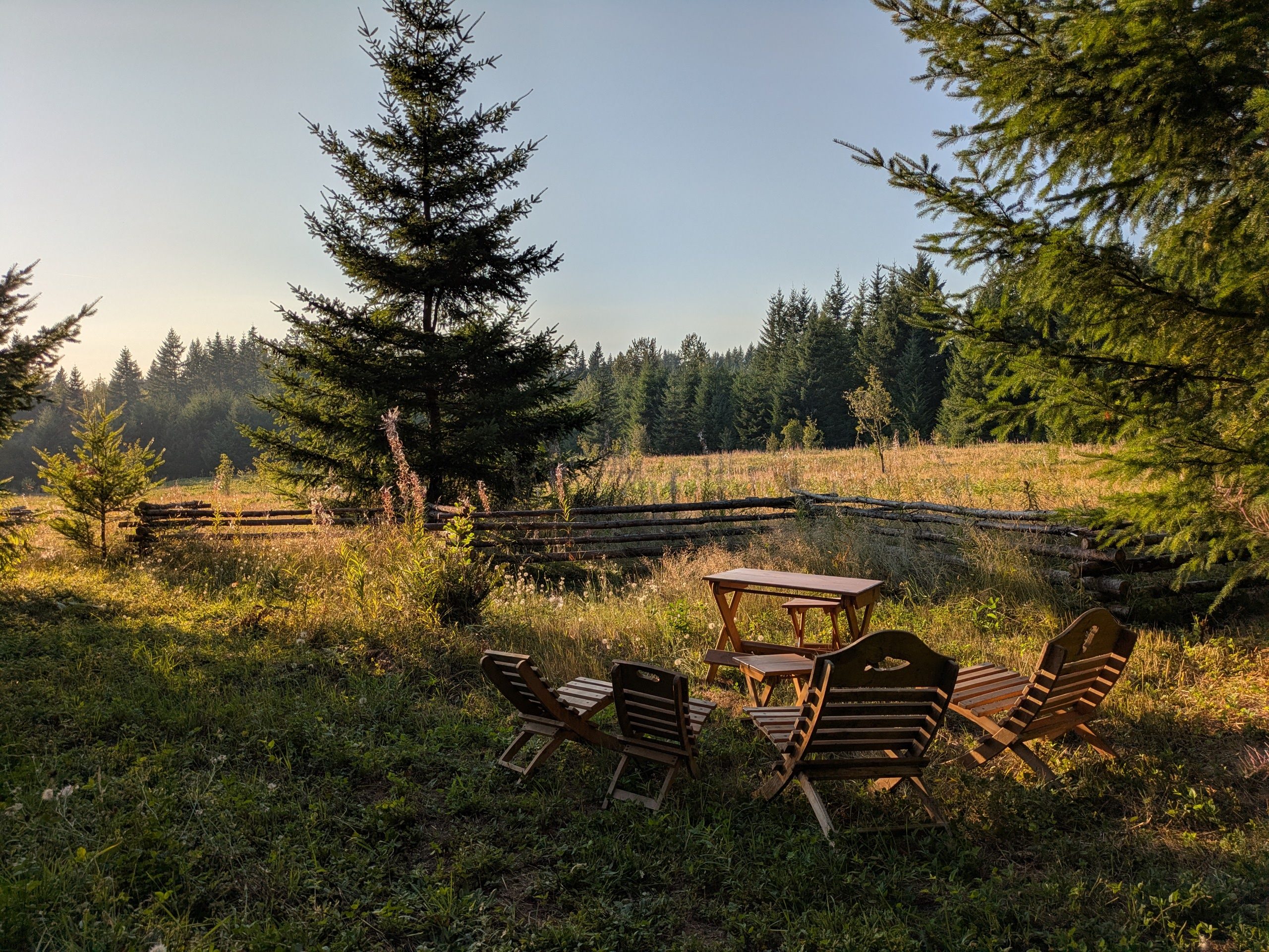 Hoodland Basecamp at Scrumpy Farest
