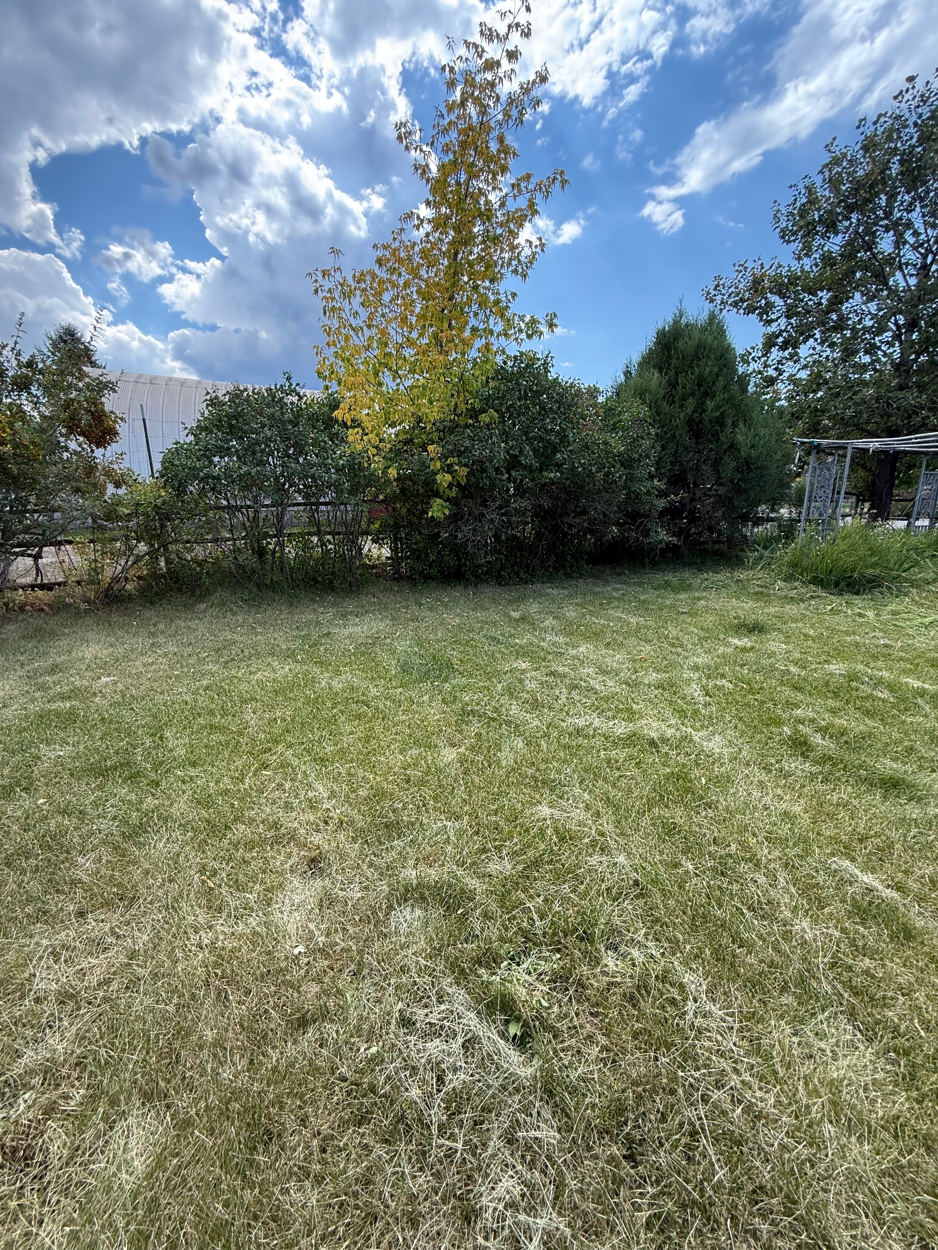 Nice flat lawn next to the lilac hedge. Room for 3 medium sized tents. Public restroom on the other side of the hedge. Access to water, electric outlet and WiFi. Photo facing south .
