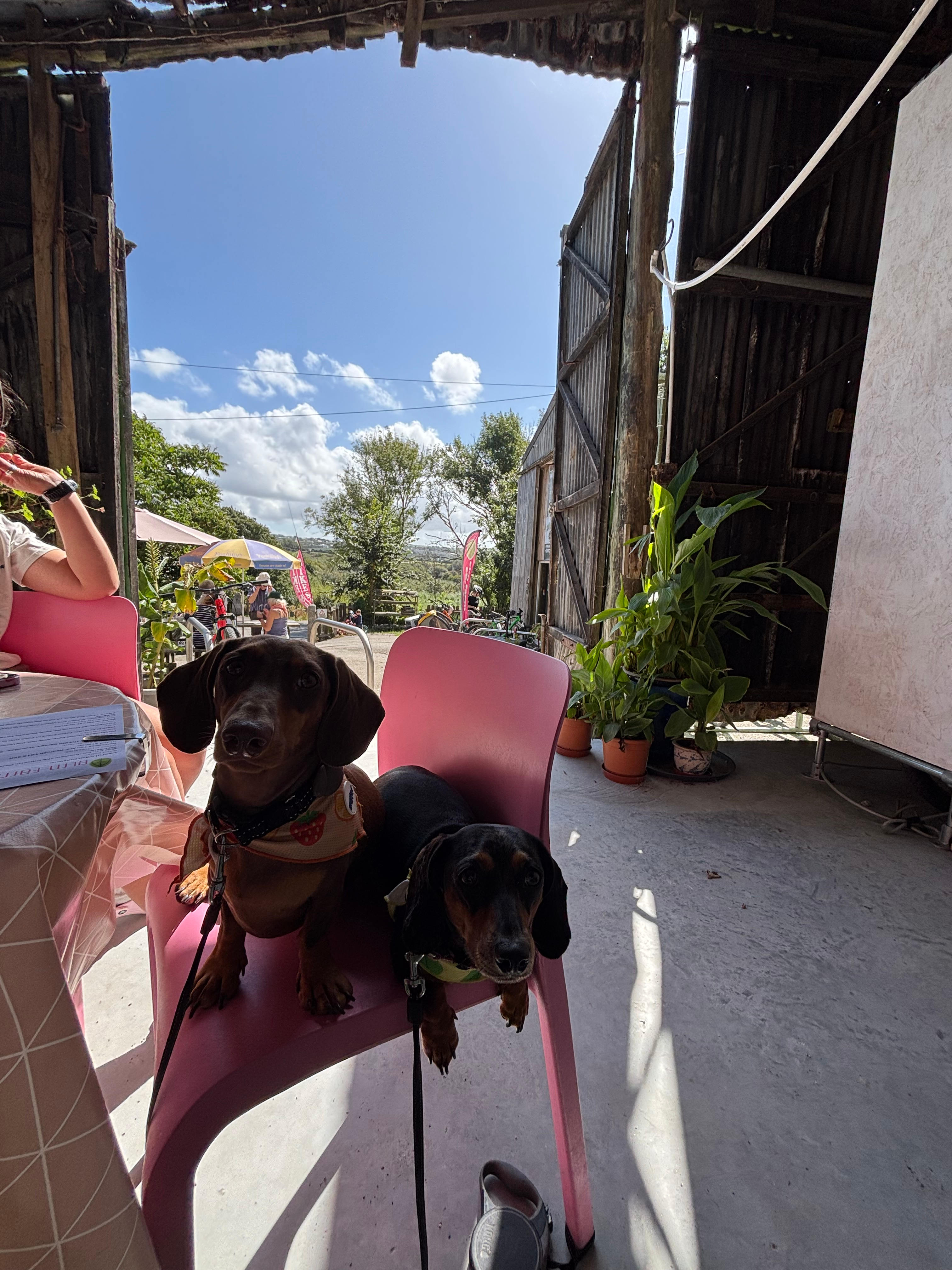 Elm Farm Camp, Cafe & Cycle hire