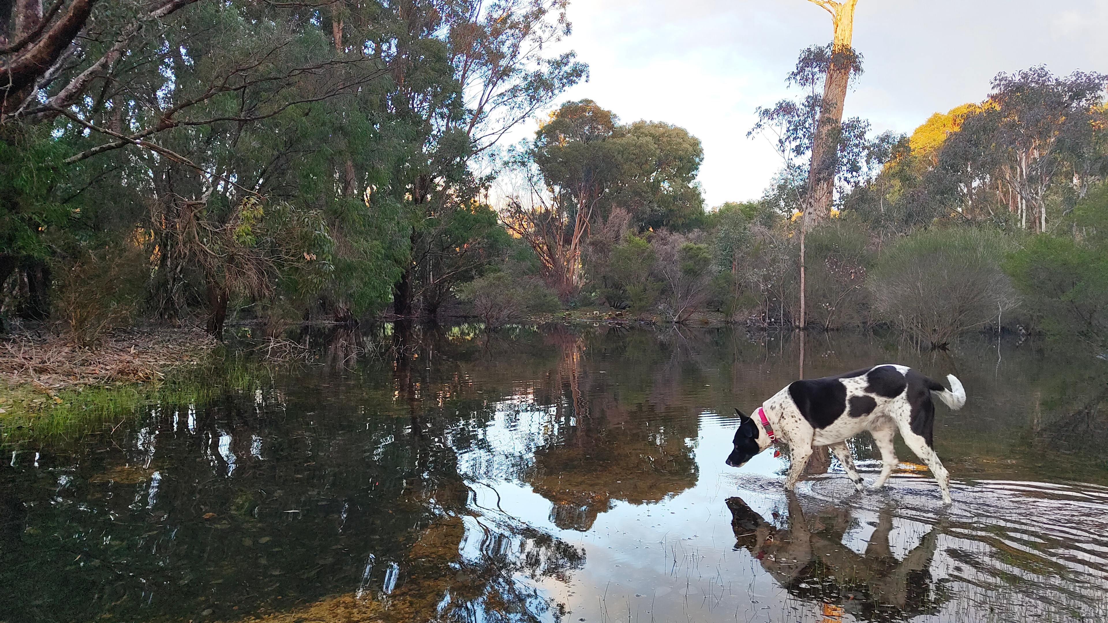 Whicher Farm Campsite