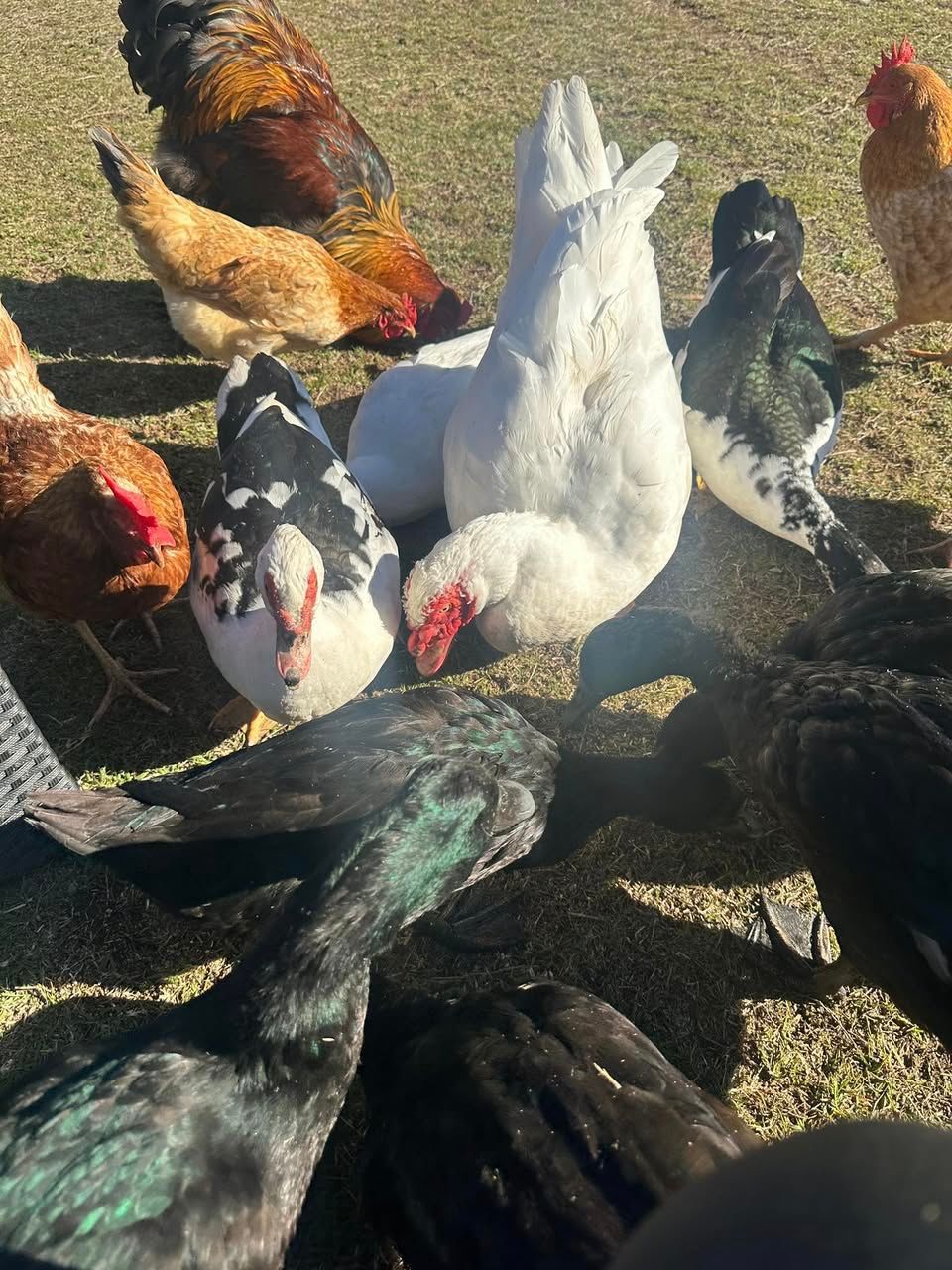 Natures Nook Farmstay