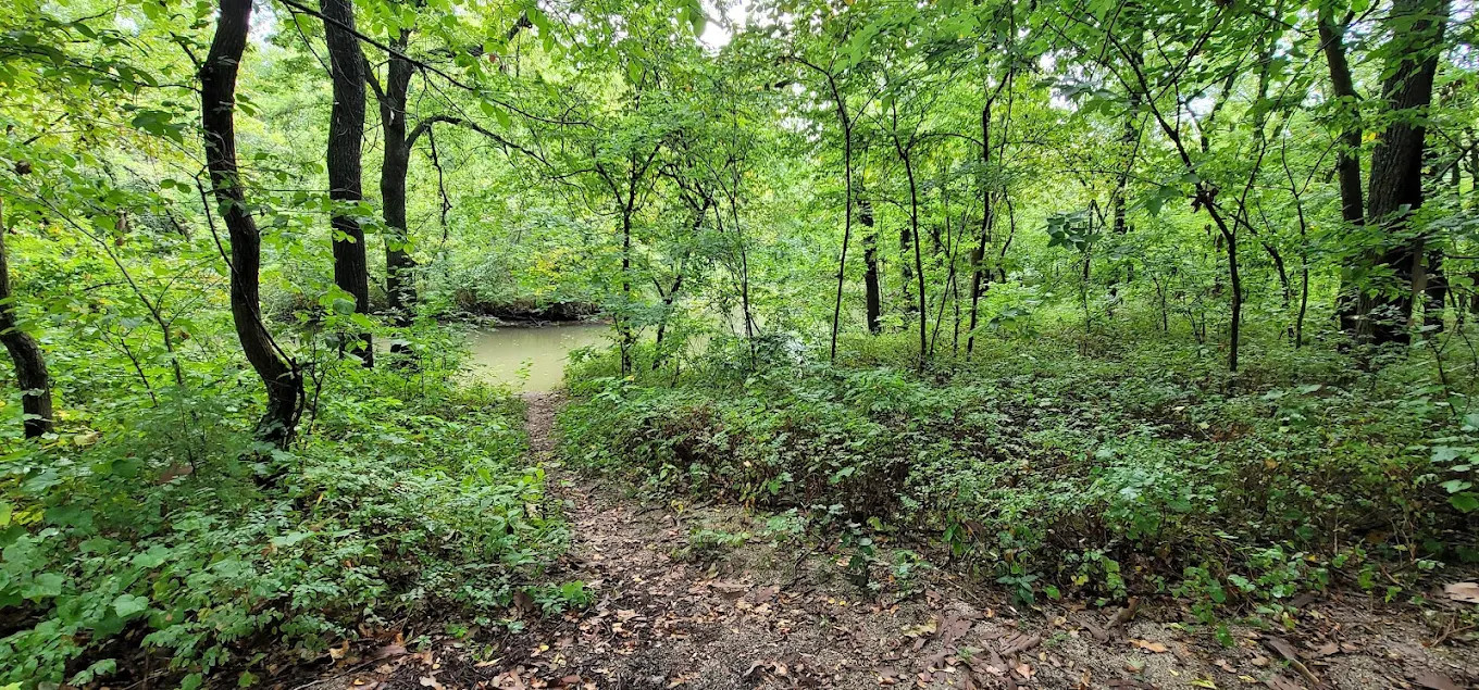 Lake Miola Campgrounds