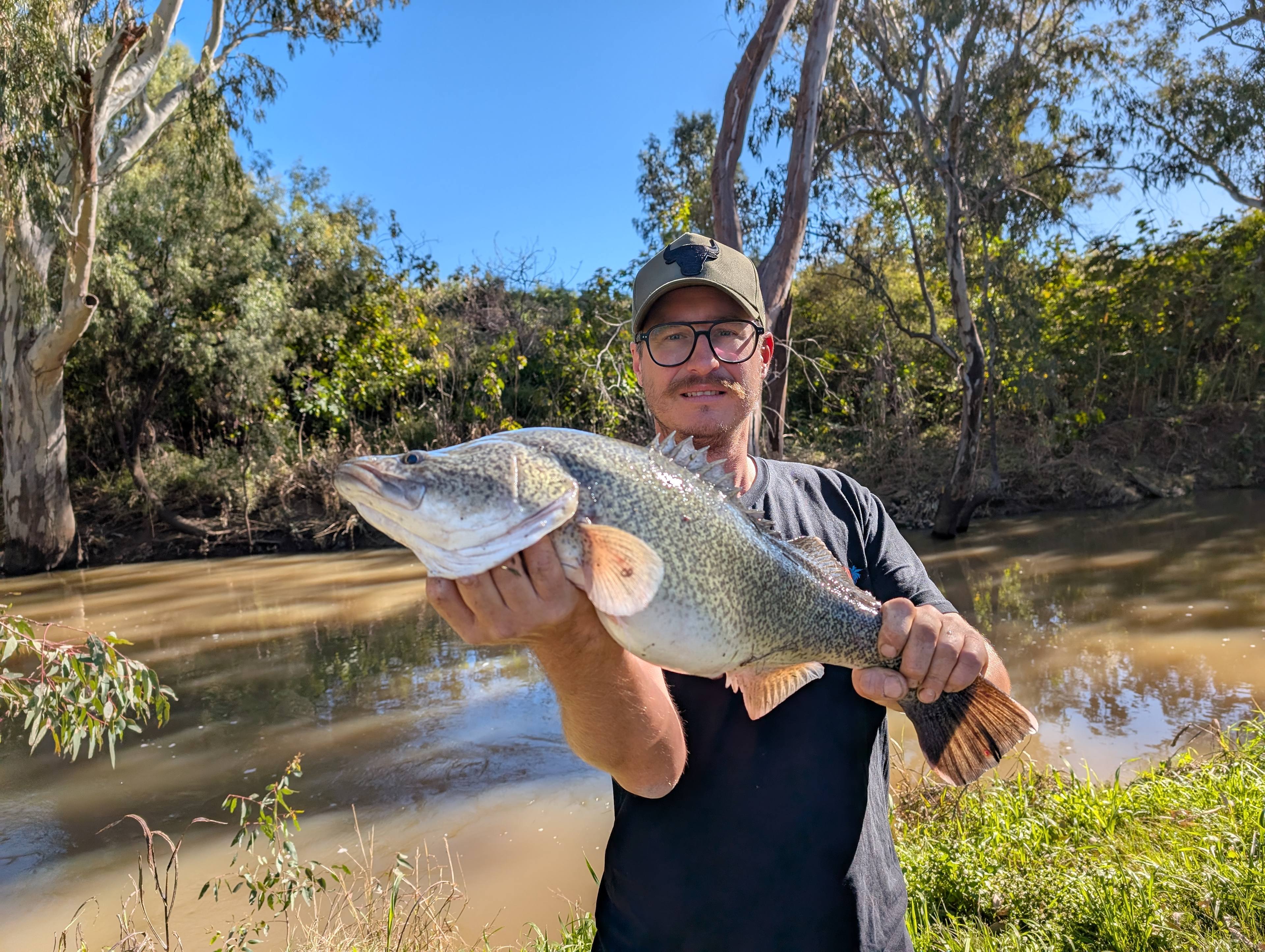 Pringy's Farm Balnagask