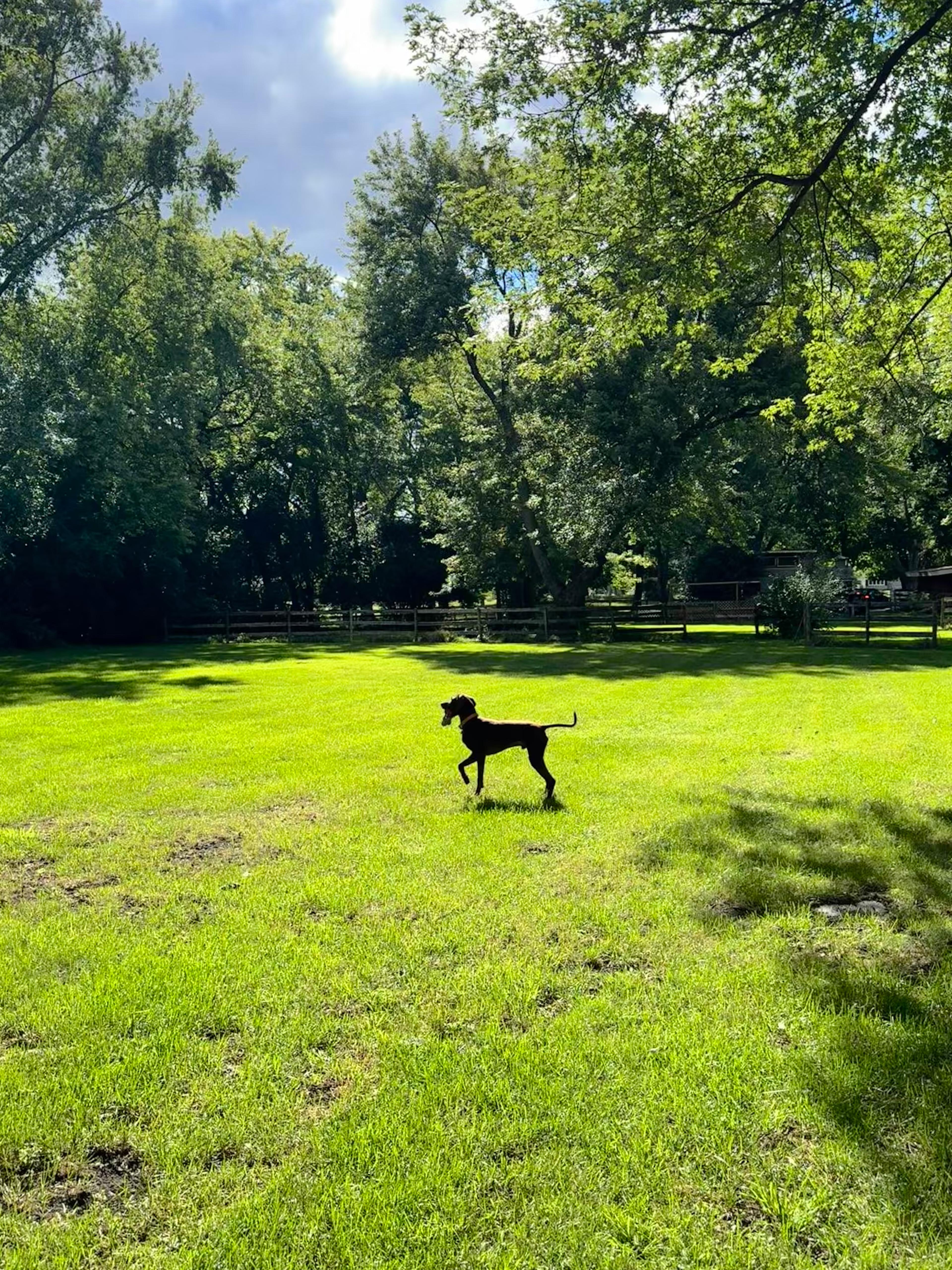 Barrington Camp Close to Town