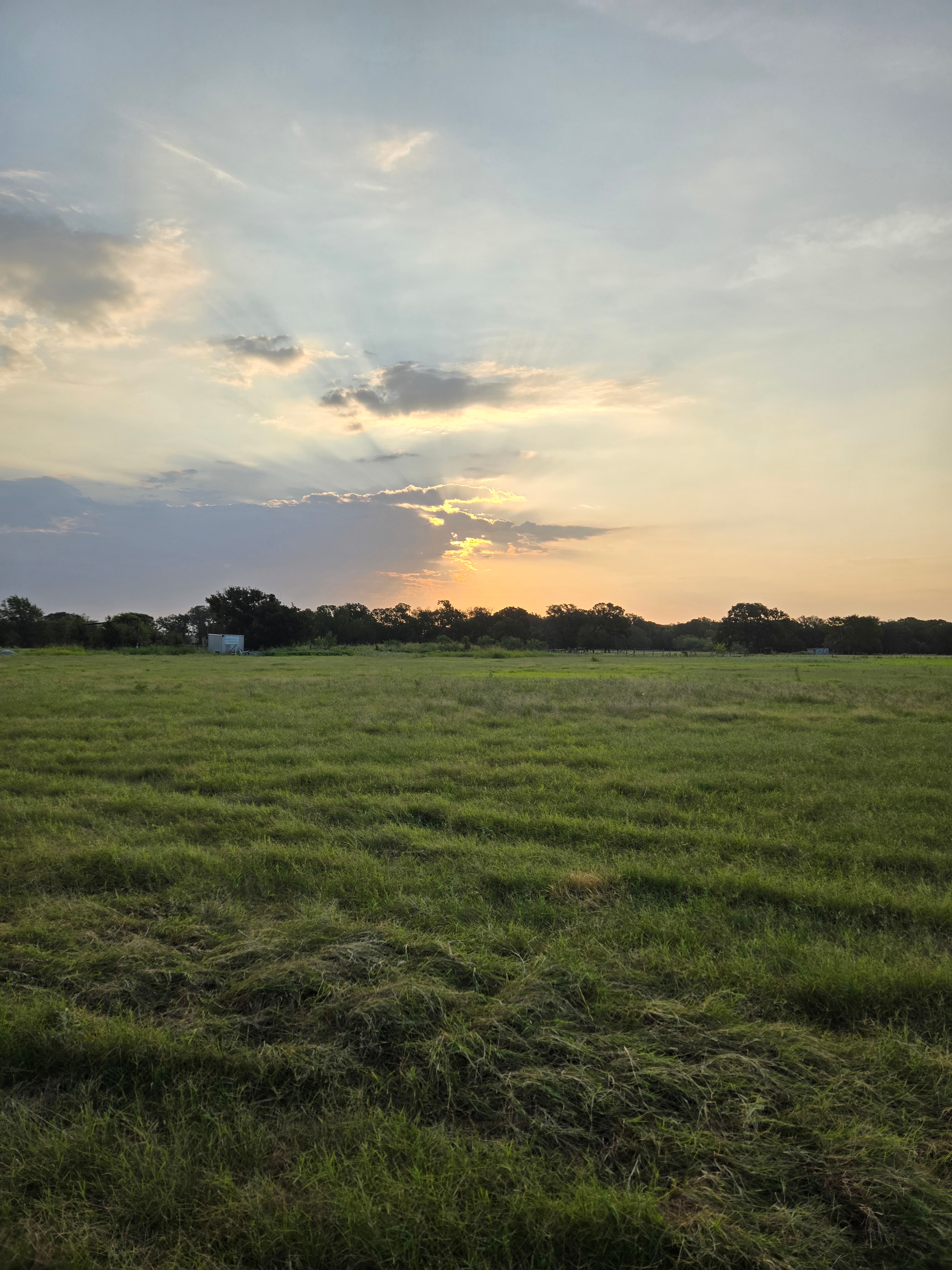 Cabin With Character