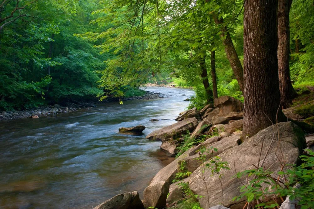 Mountaineer Campground and Cabins