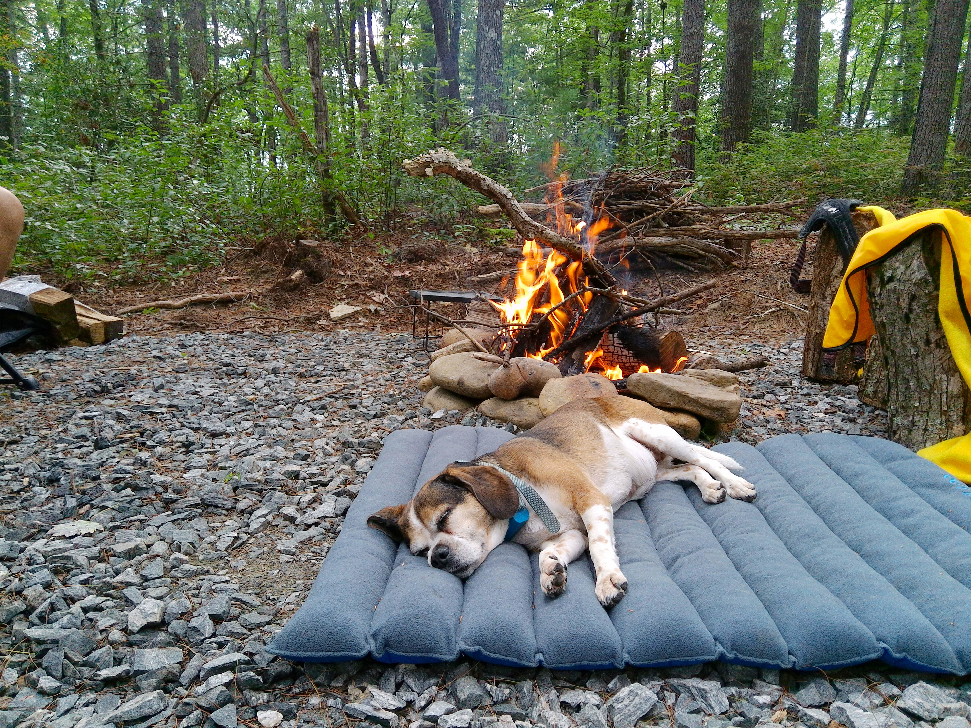 Cedar Ridge Base Camp