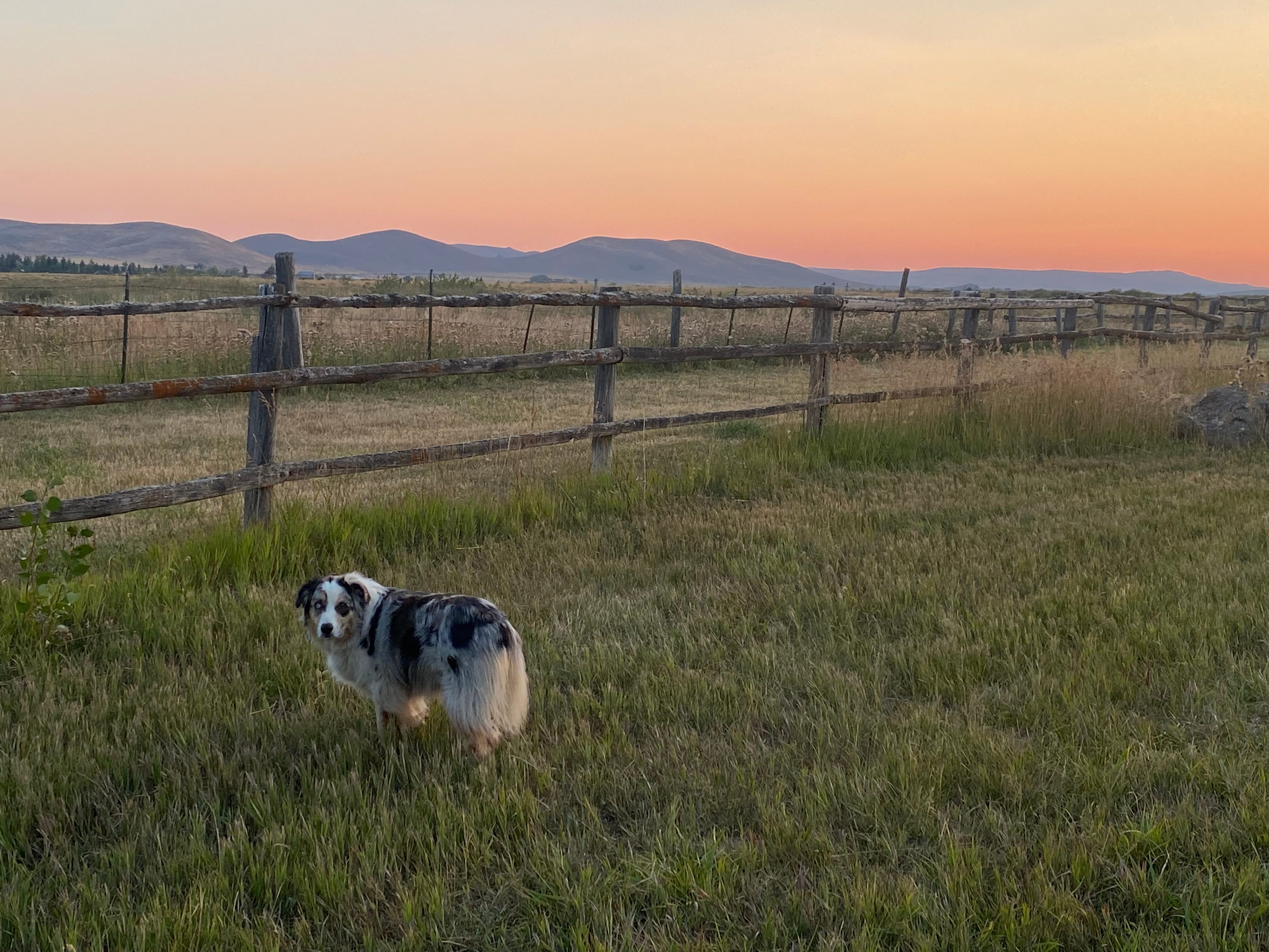 Kraay's Market & Garden